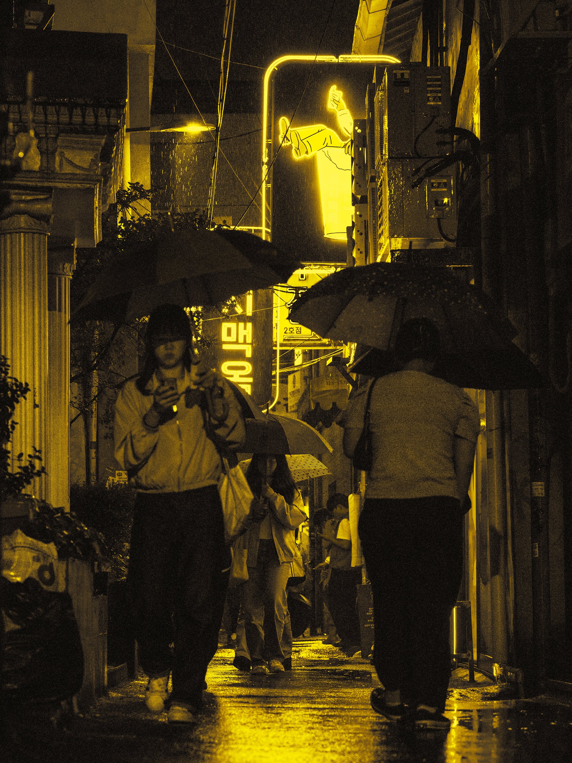 2 21 1 B0003903_X2D-YE.jpg
