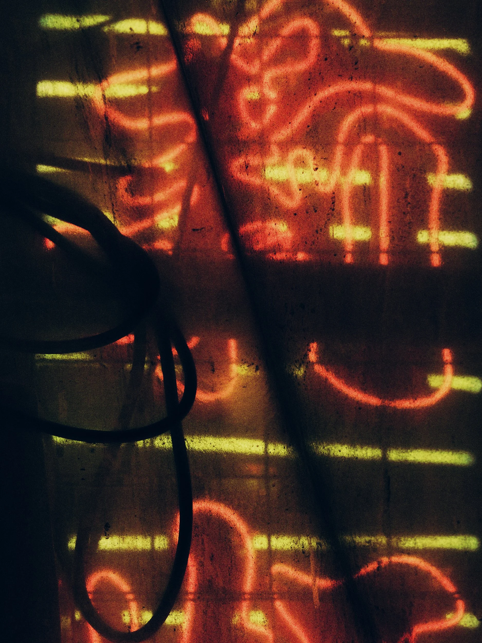 2 15 B0011511_X2D.jpg