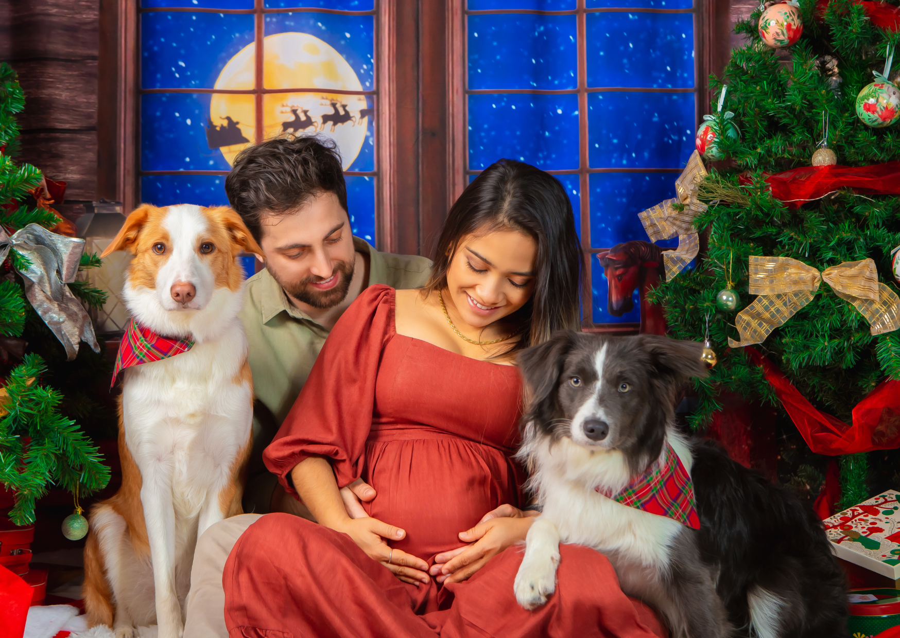 A pregnant woman and a man with two dogs sitting in front of a decorated Christmas tree, with a window showing a Christmas-themed night sky with Santa's sleigh. The woman is smiling and touching her belly, the man is gently holding her, and one dog i