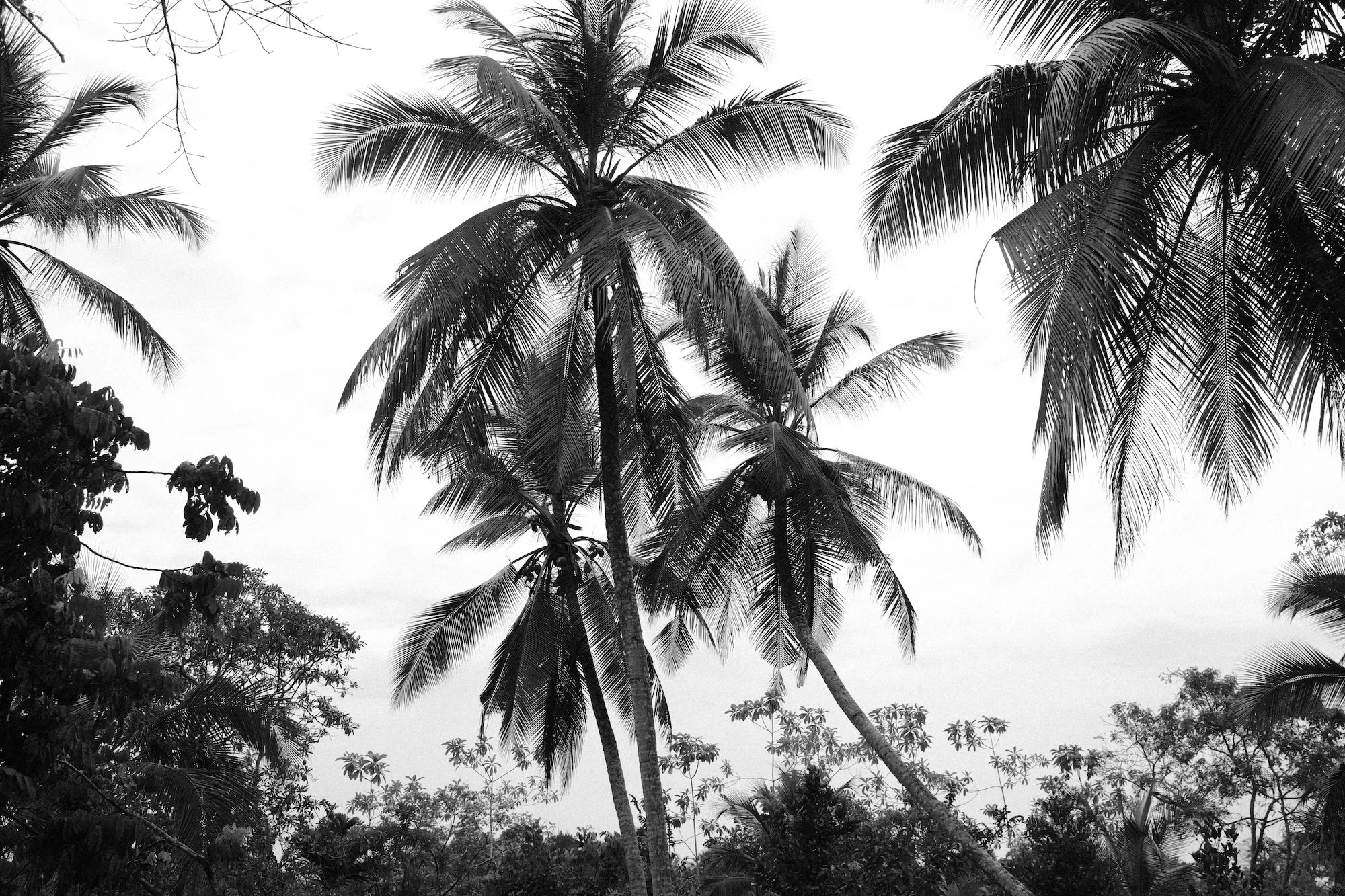 Wild. The Wellness Hub of Ahangama