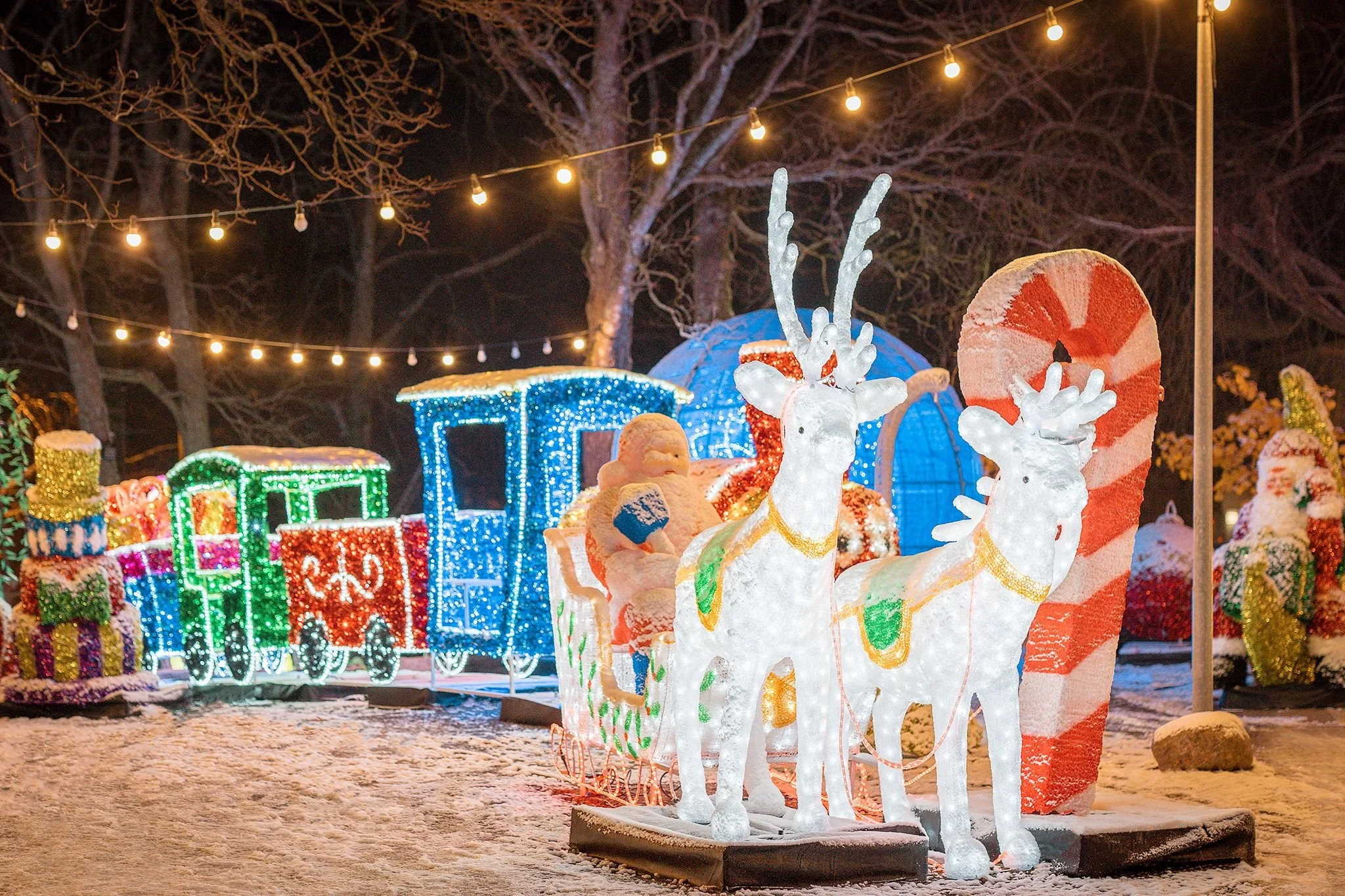 Arctic_fantasy_park_Rovaniemi_satas_rendeer.jpeg