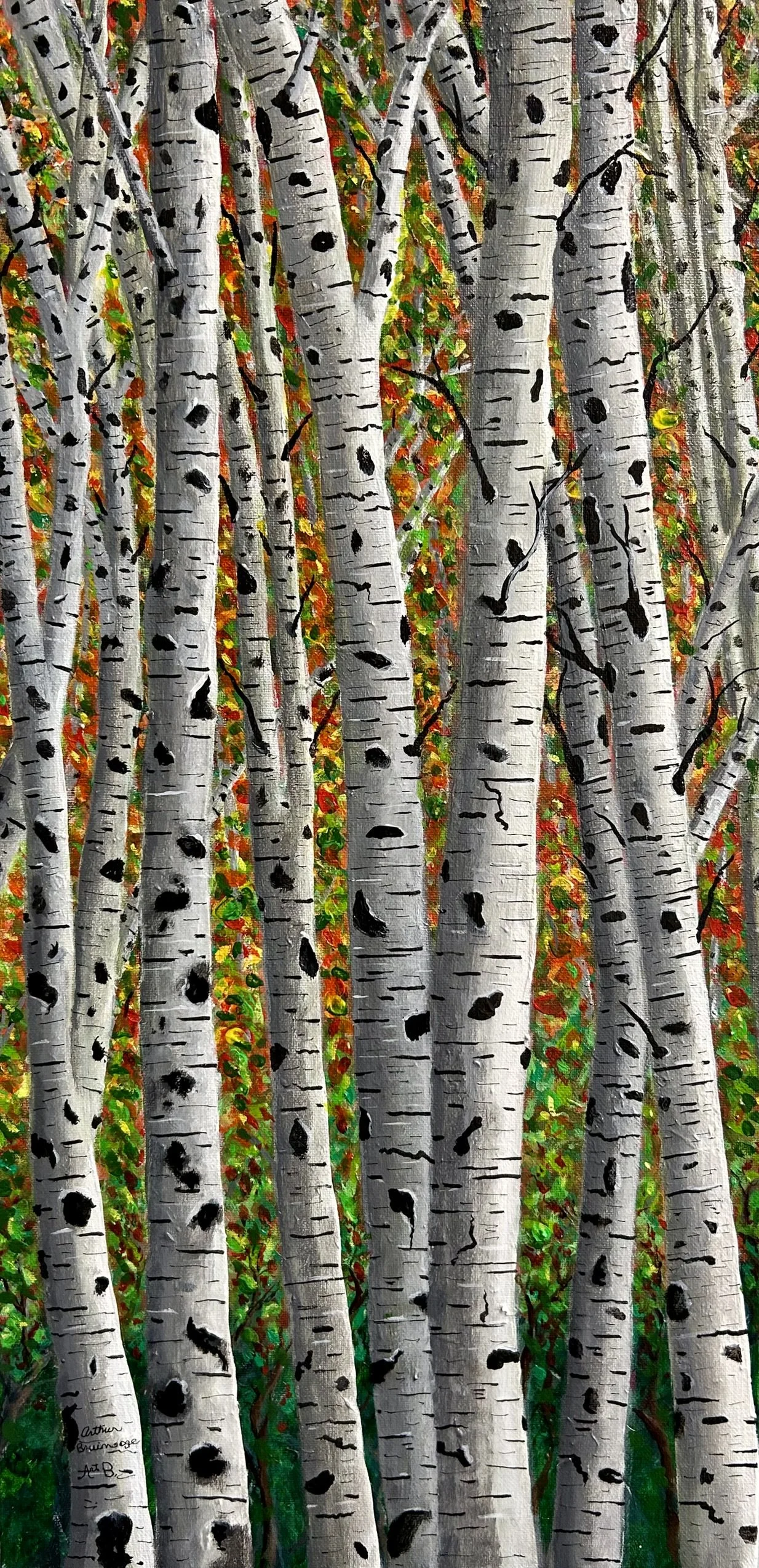 Birch Trees In Fall 12"x24" Acrylic