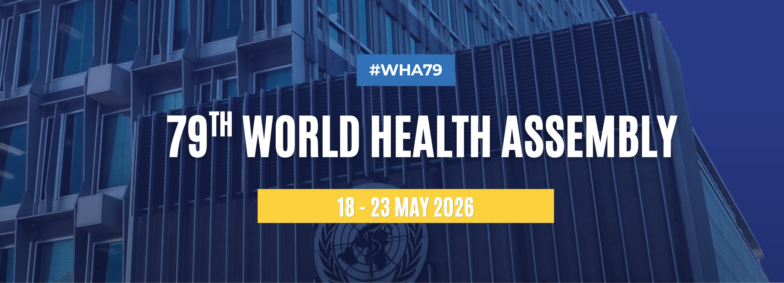 Who Gets to Hold the Pen? A4HP's Week at the World Health Assembly&nbsp;