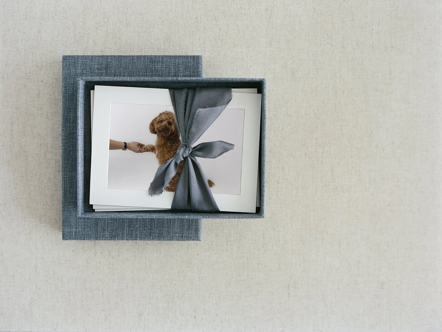 Artwork at ELB Photography