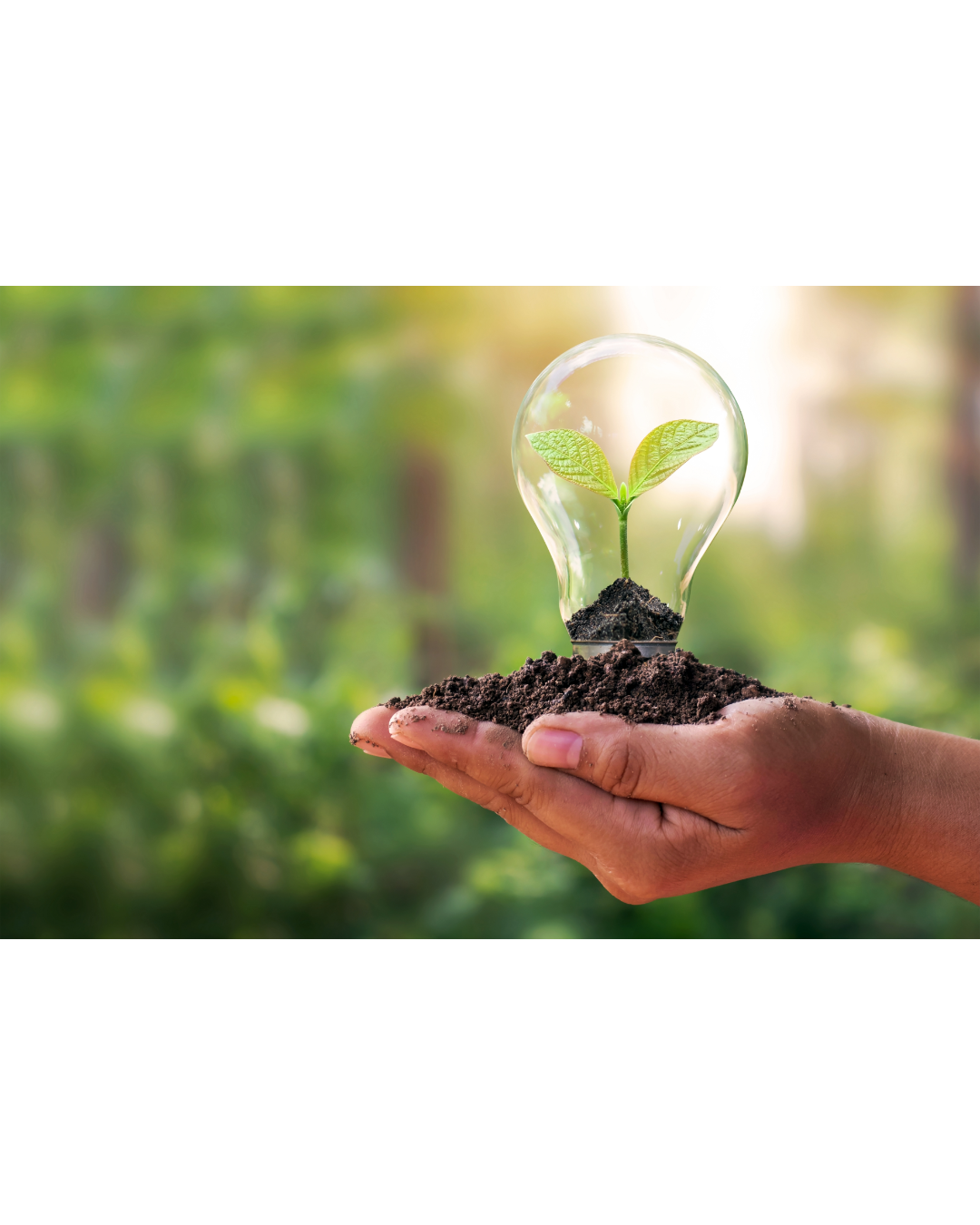 Setting Up a Meditation Practice