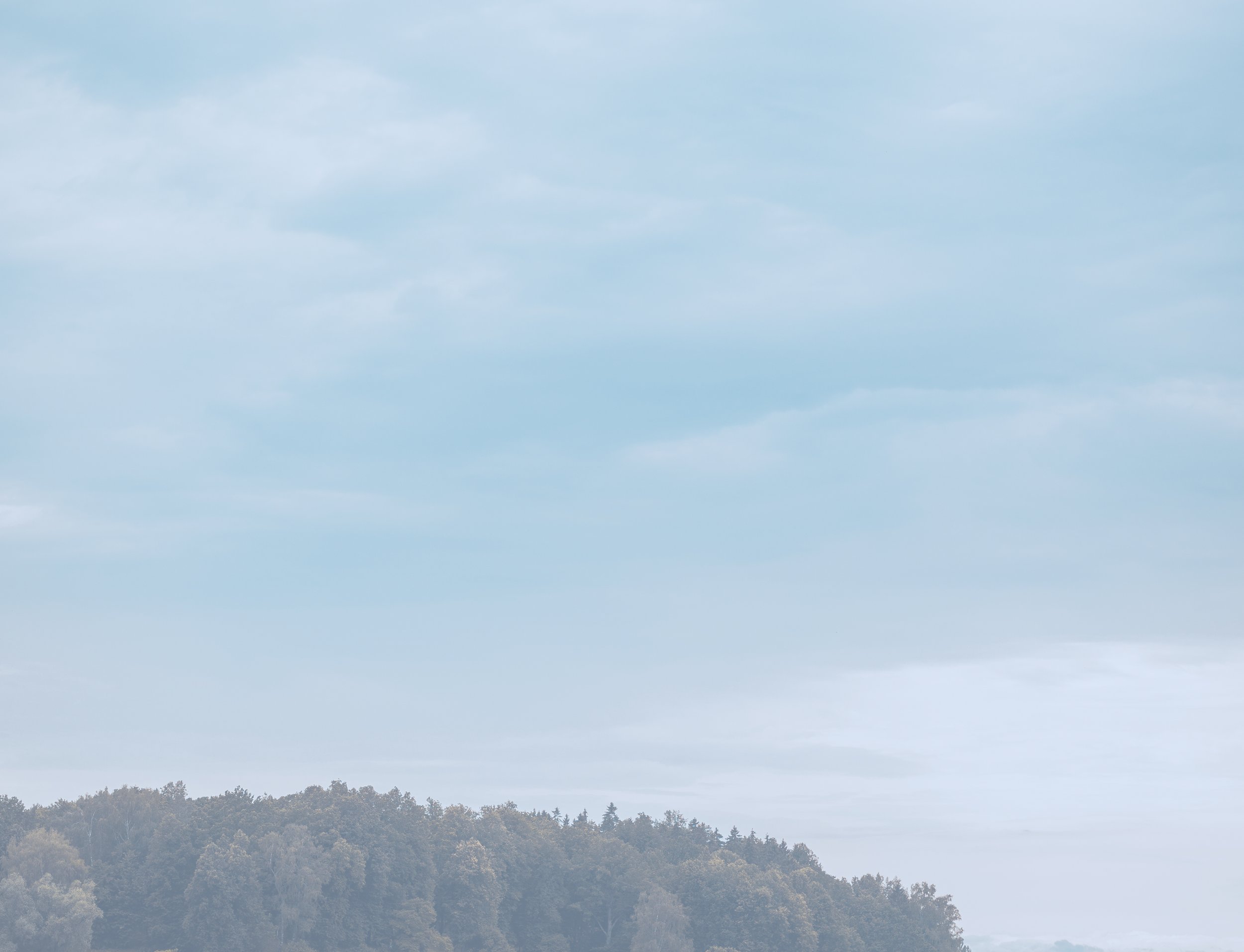 A landscape with a cloudy sky and a dense forest of trees at the horizon.