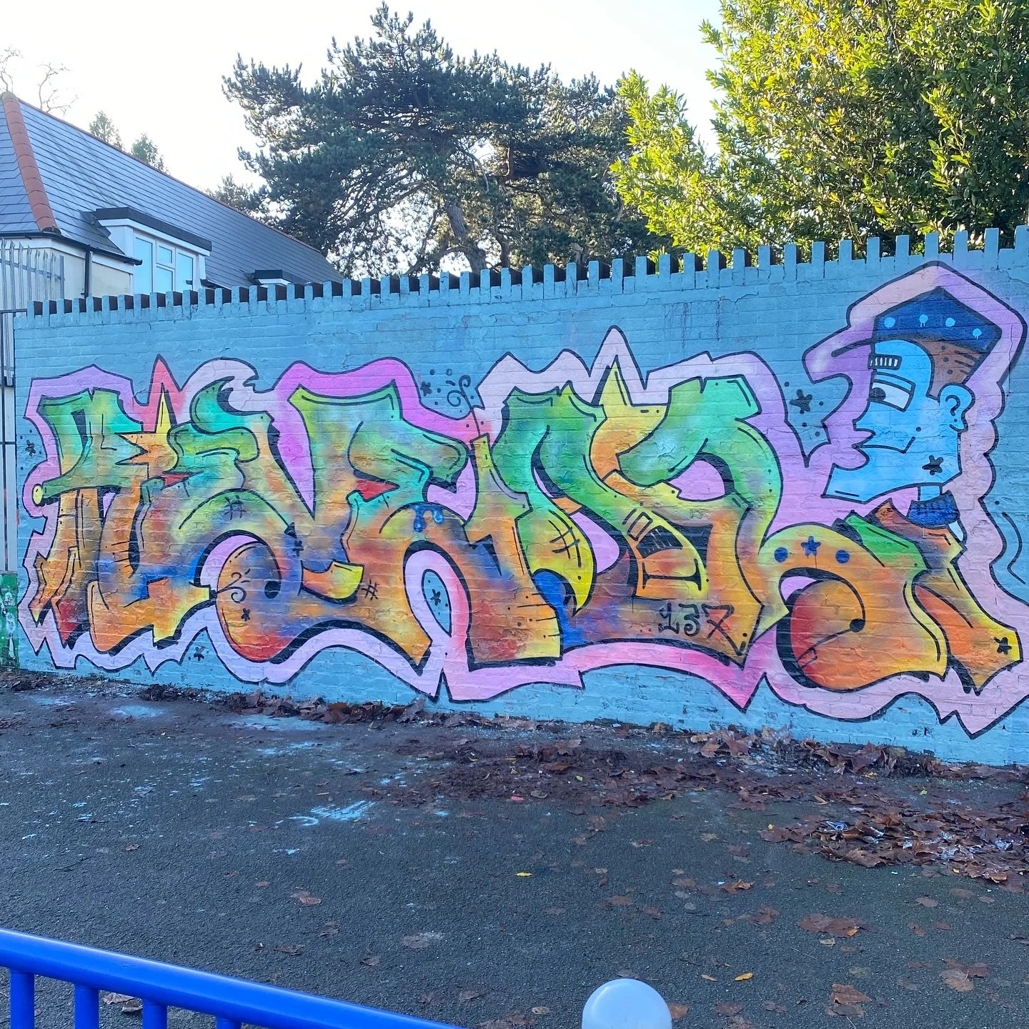 Scrap can removals formerly known as bulk head removals