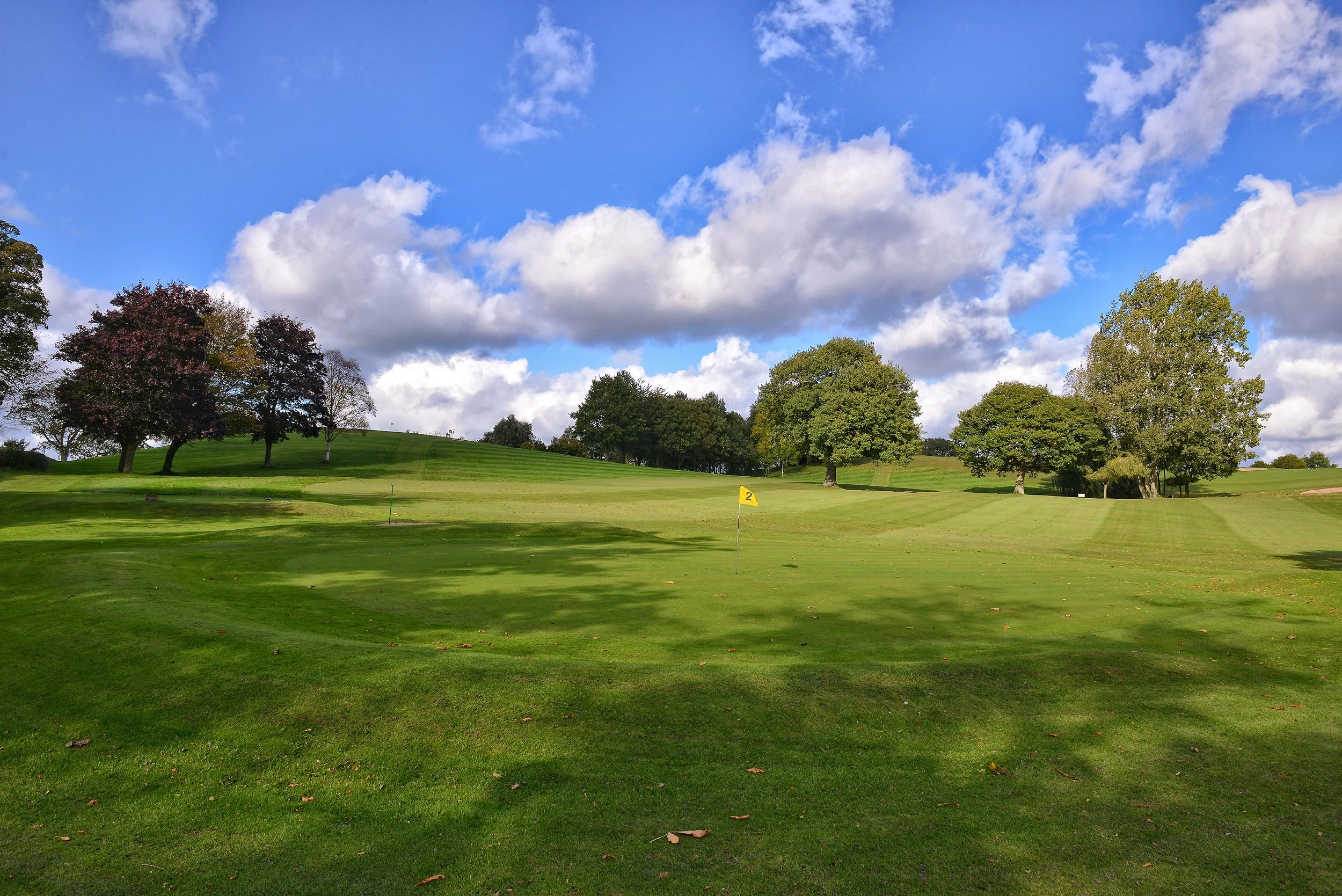 Ellesmere College Golf.jpg