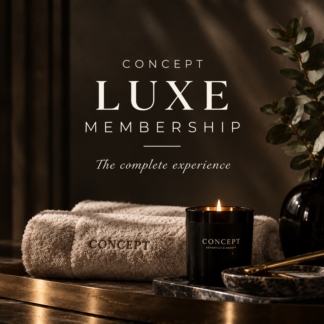 Concept Luxe