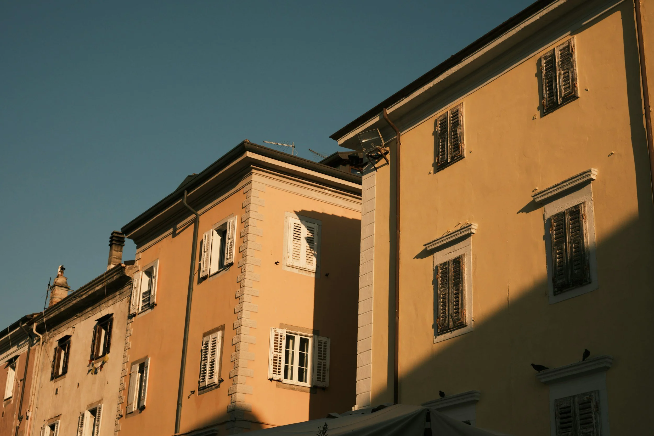 Miksi isännöinti kannattaa kilpailuttaa?