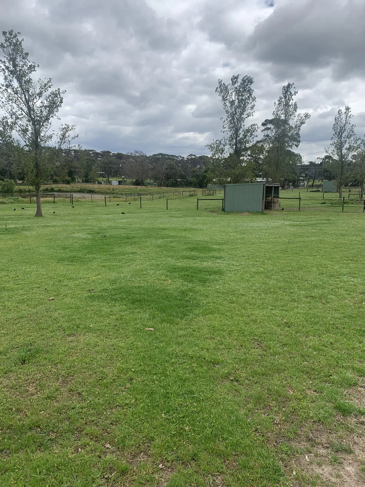 Green grassy field with a faint dark trail shaped like a Y in the center, several trees, and a small green shelter, under a cloudy sky.