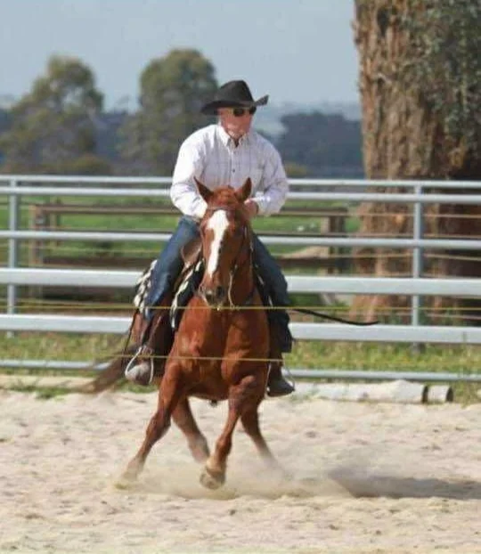 Person wearing a black cowboy hat and sunglasses riding a chestnut horse in an outdoor riding arena.