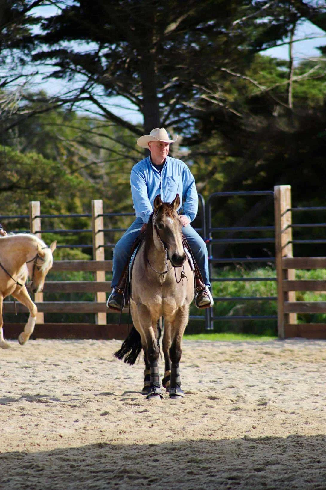 A man in a cowboy hat riding a buckskin horse in an outdoor arena with trees and a wooden fence in the background.