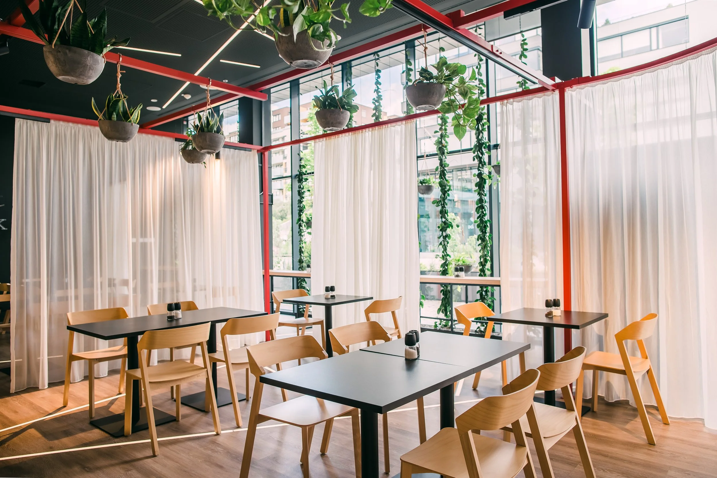 Modern restaurant or cafe interior with light wood chairs, black tables, hanging plants, and large glass windows covered with white curtains. Restaurant interior photography in Zürich, Zug, Bern, Lucerne, Basel, St. Gallen and across Switzerland.
