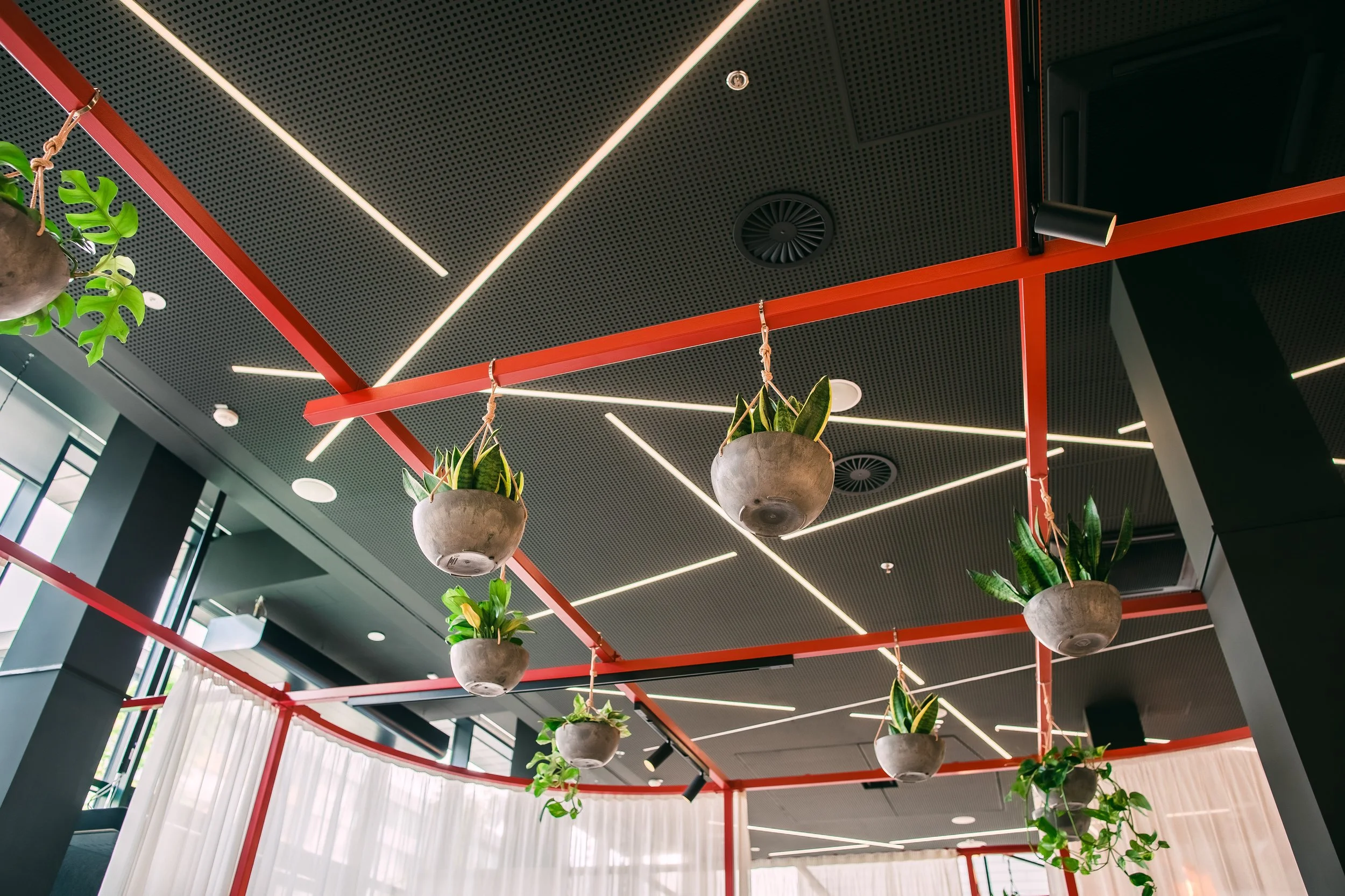 Ceiling with black panels, red beams, and hanging potted plants in a modern interior space. Restaurant interior photography in Zürich, Zug, Bern, Lucerne, Basel, St. Gallen and across Switzerland.