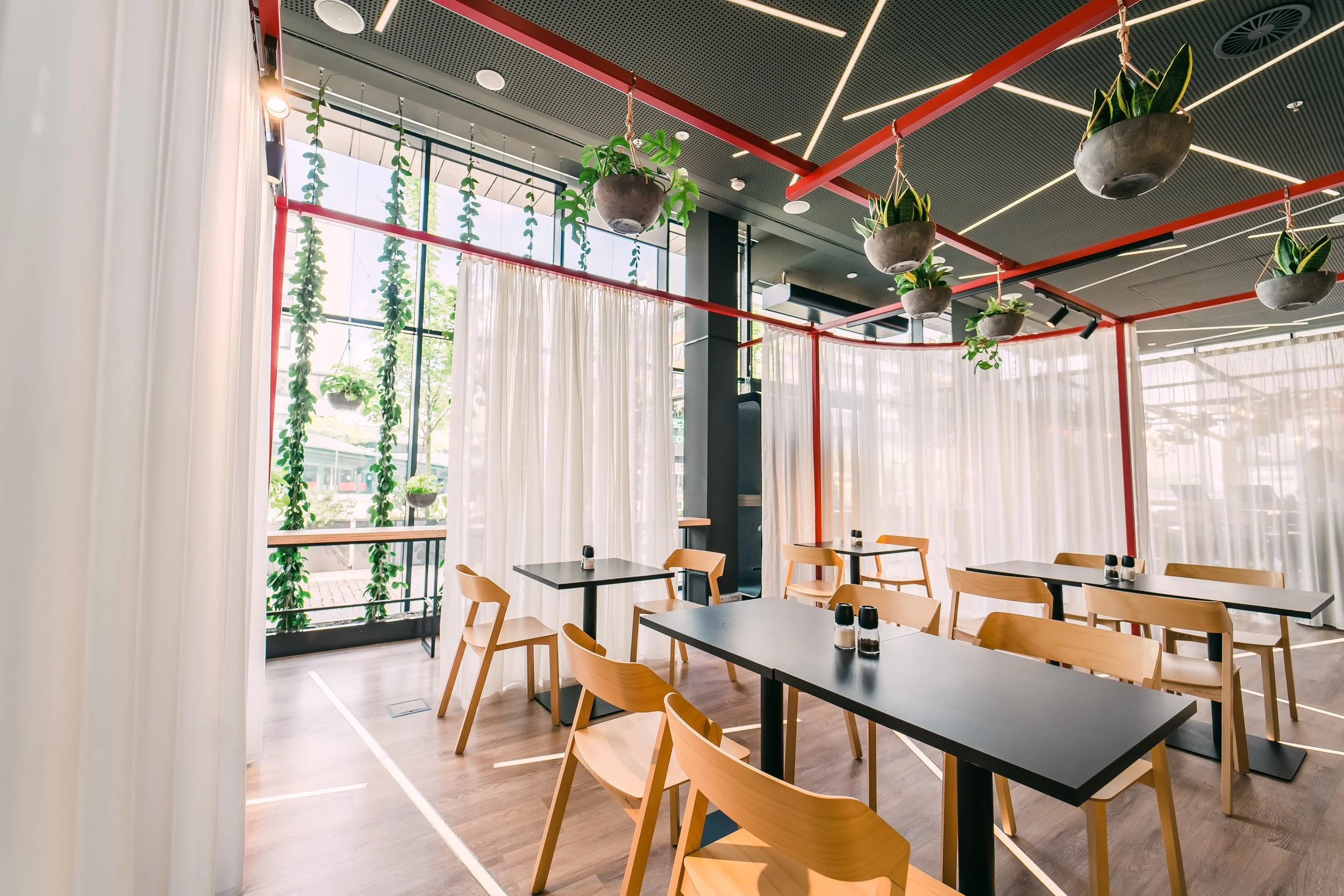 Modern restaurant with black tables, wooden chairs, hanging planters with green plants, and large windows with white curtains, natural light, and a black and red ceiling. restaurant interior photography in Zürich, Zug, Bern, Basel, across Switzerland