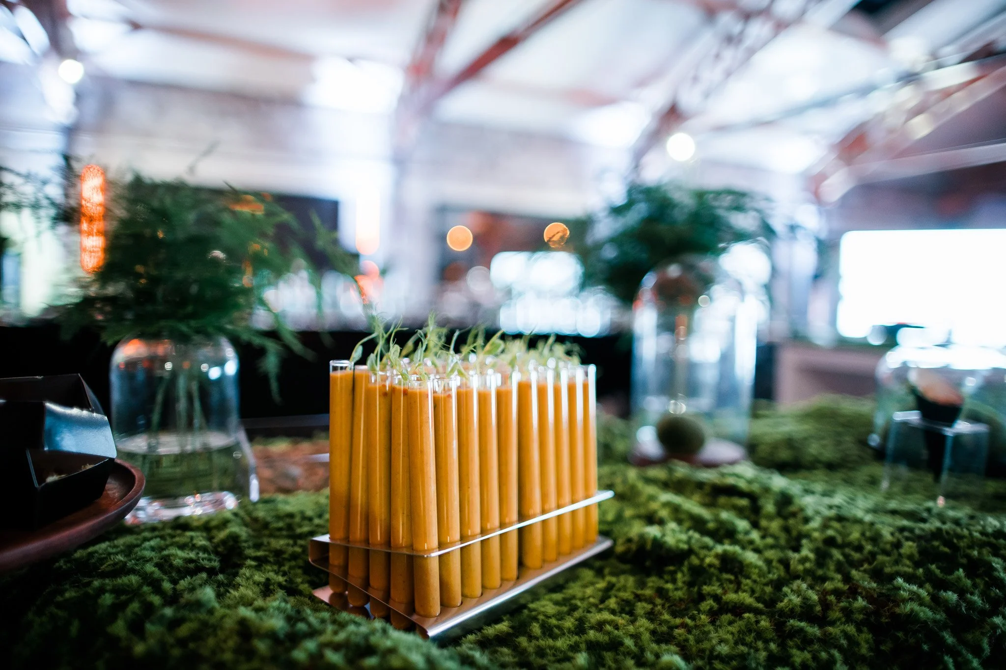 Glass containers with green plants and a tray of orange smoothies on a green moss-covered surface at an indoor event space. Catering and food photography in Zürich, Zug, Bern, Lucerne, Basel, St. Gallen and across Switzerland.