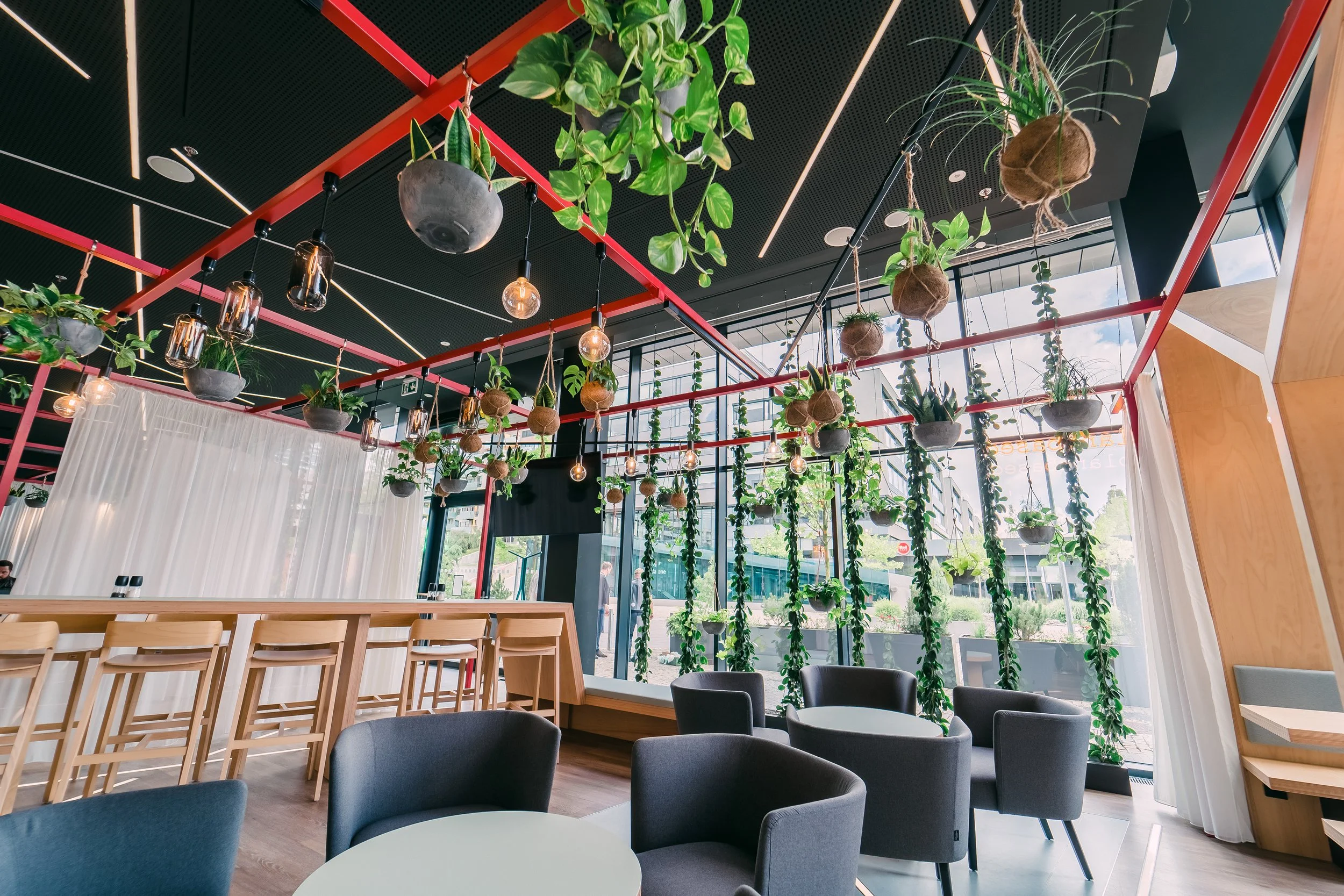 Indoor cafe with hanging potted plants and Edison bulb string lights, large windows with curtains, wooden chairs and tables, and a black ceiling with red metal framing. Restaurant interior photography in Zürich, Zug, Bern, Lucerne, Basel, St. Gallen.