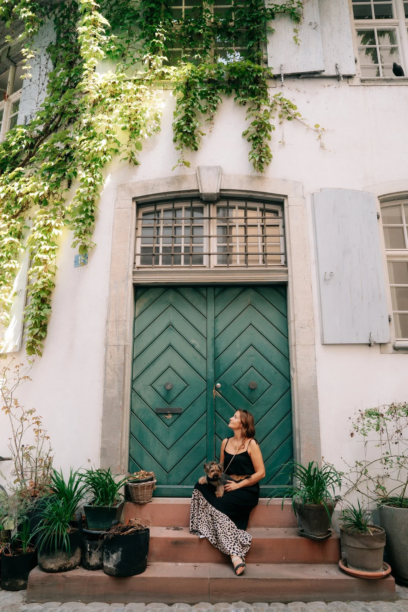 A woman sitting on steps with a small dog, in front of a large green wooden door on a white building, surrounded by potted plants and ivy climbing the wall in historic city centre of Basel Switzerland.