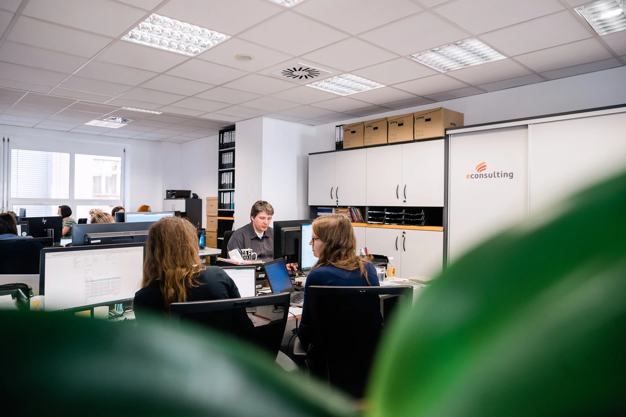 Office scene with people working at desks with computers, shelves, and cabinets in the background, partially obscured by out-of-focus green leaves in the foreground. Corporate company employer branding photography in Zürich, Switzerland. 