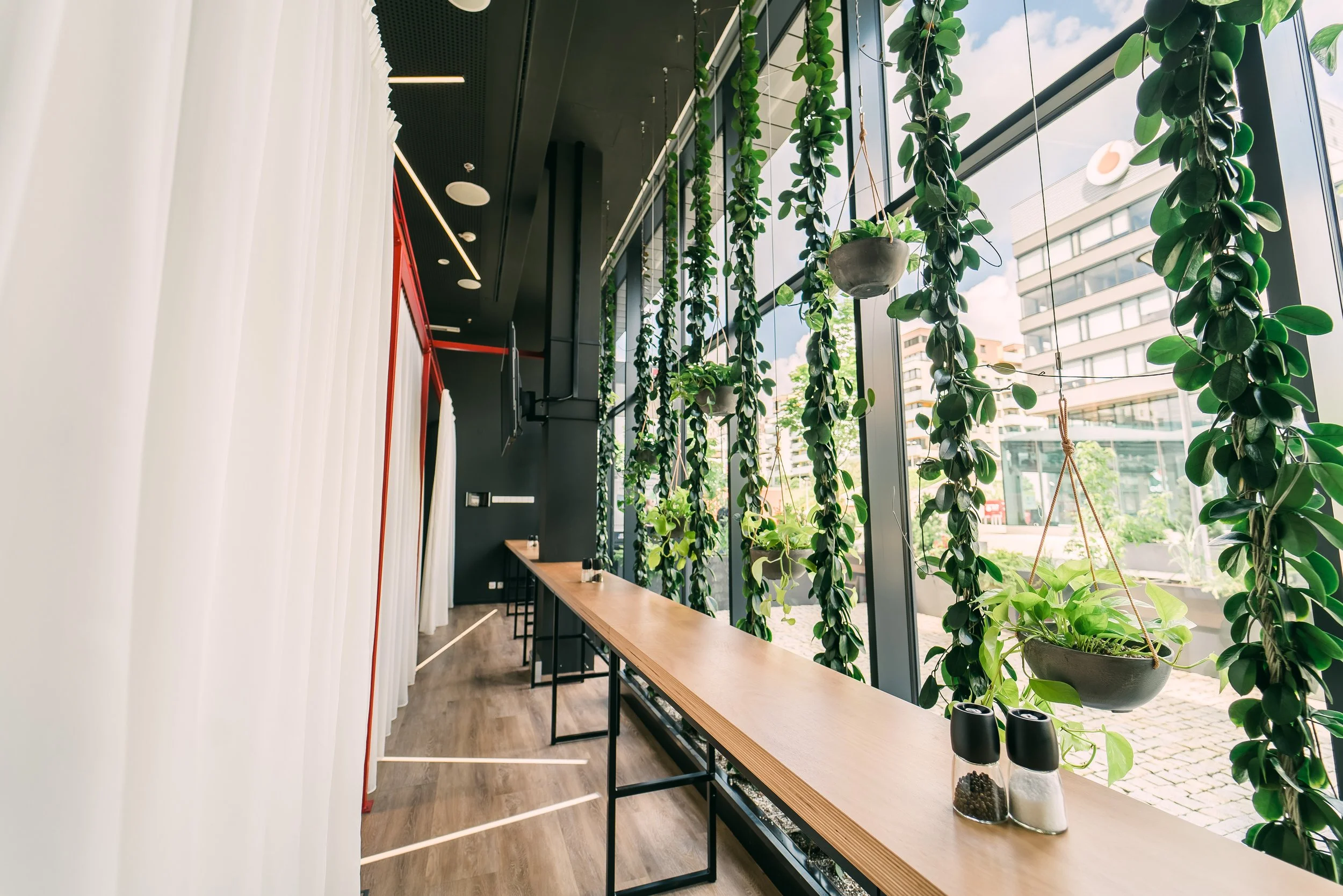 Indoor space with large windows, hanging plants, and a wooden counter with salt and pepper shakers. Restaurant interior photography in Zürich, Zug, Bern, Lucerne, Basel, St. Gallen and across Switzerland.