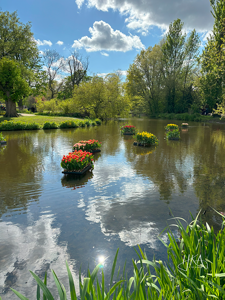 HKA_Copyright 2025_pond_Skin Vitality.png