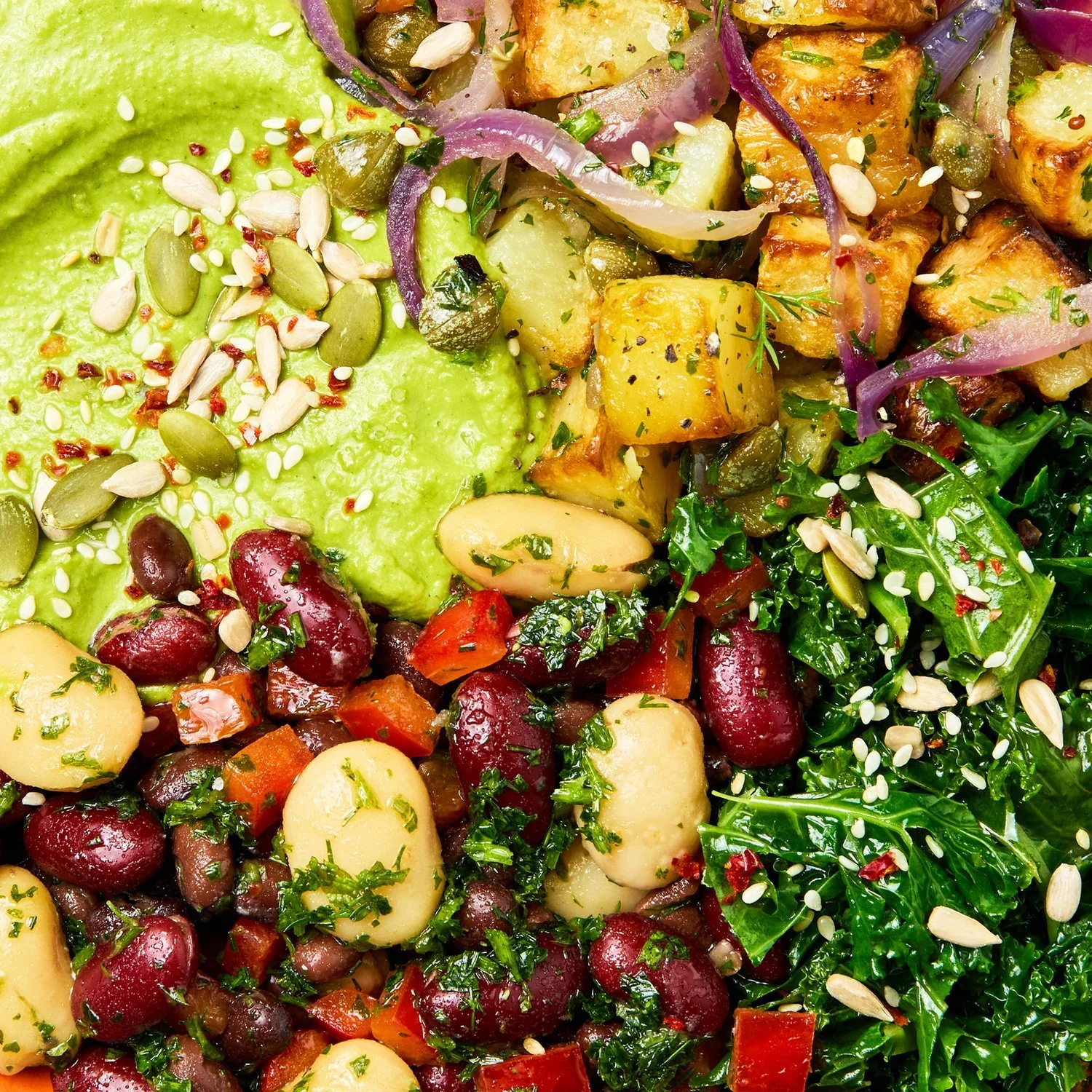 allplants-gut-goodness_bowl_macro.jpg