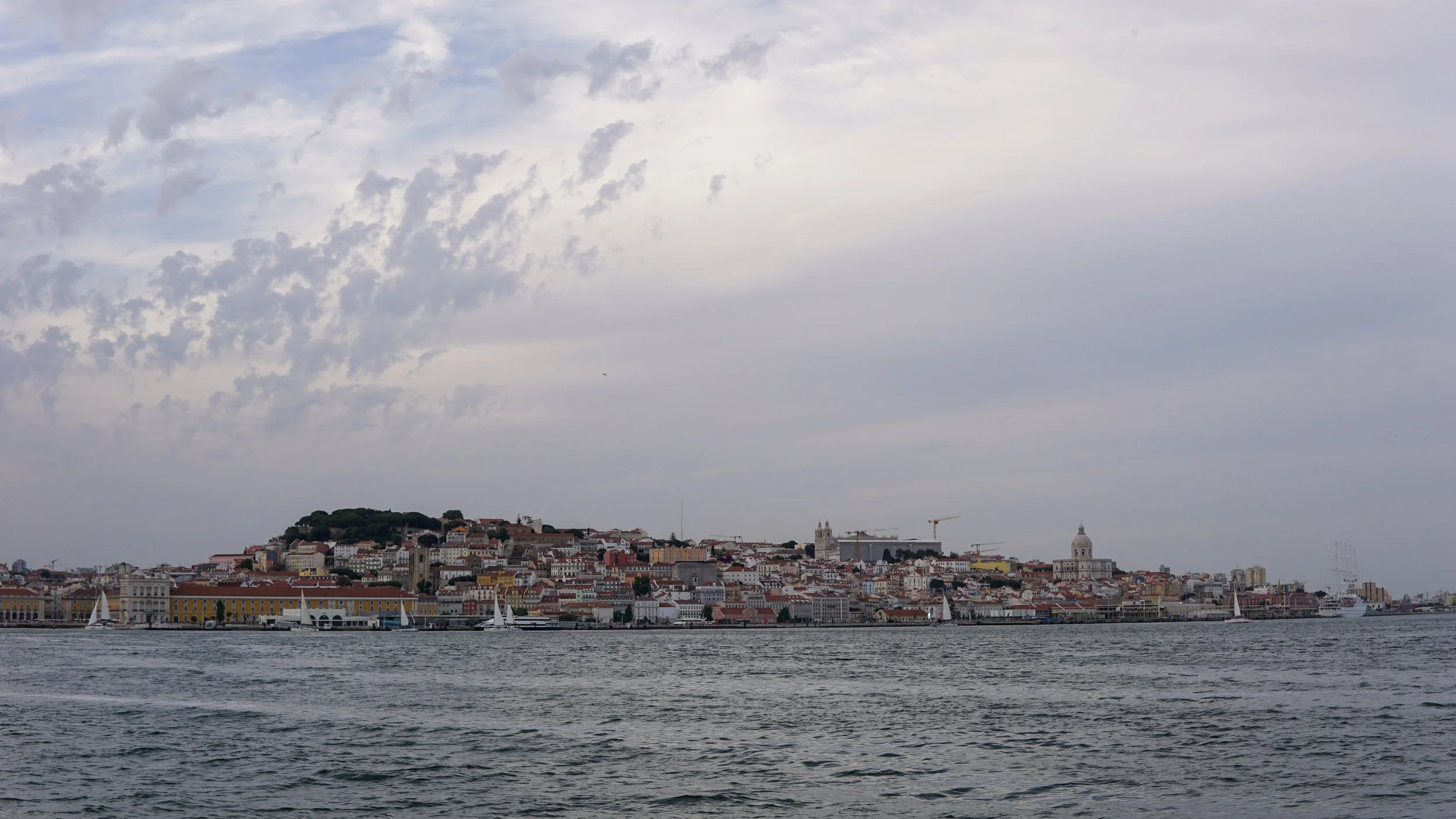DSC07483.jpg