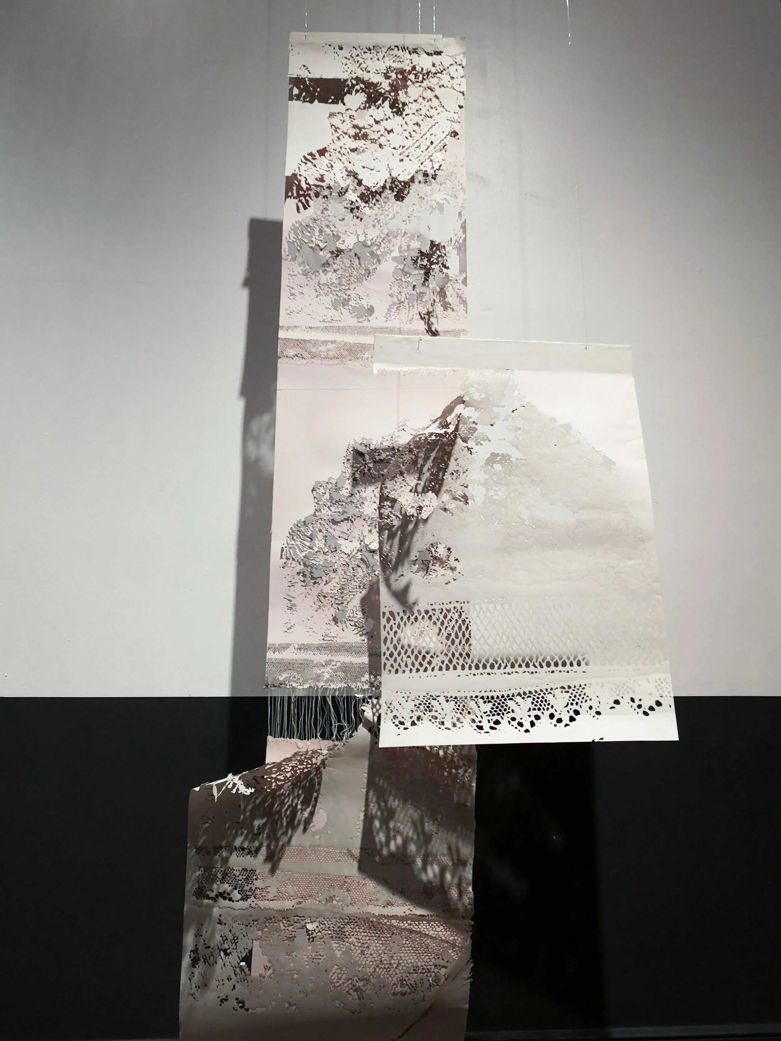 Projects_earlier works_Install3-Shadowplay by CBaker.jpg