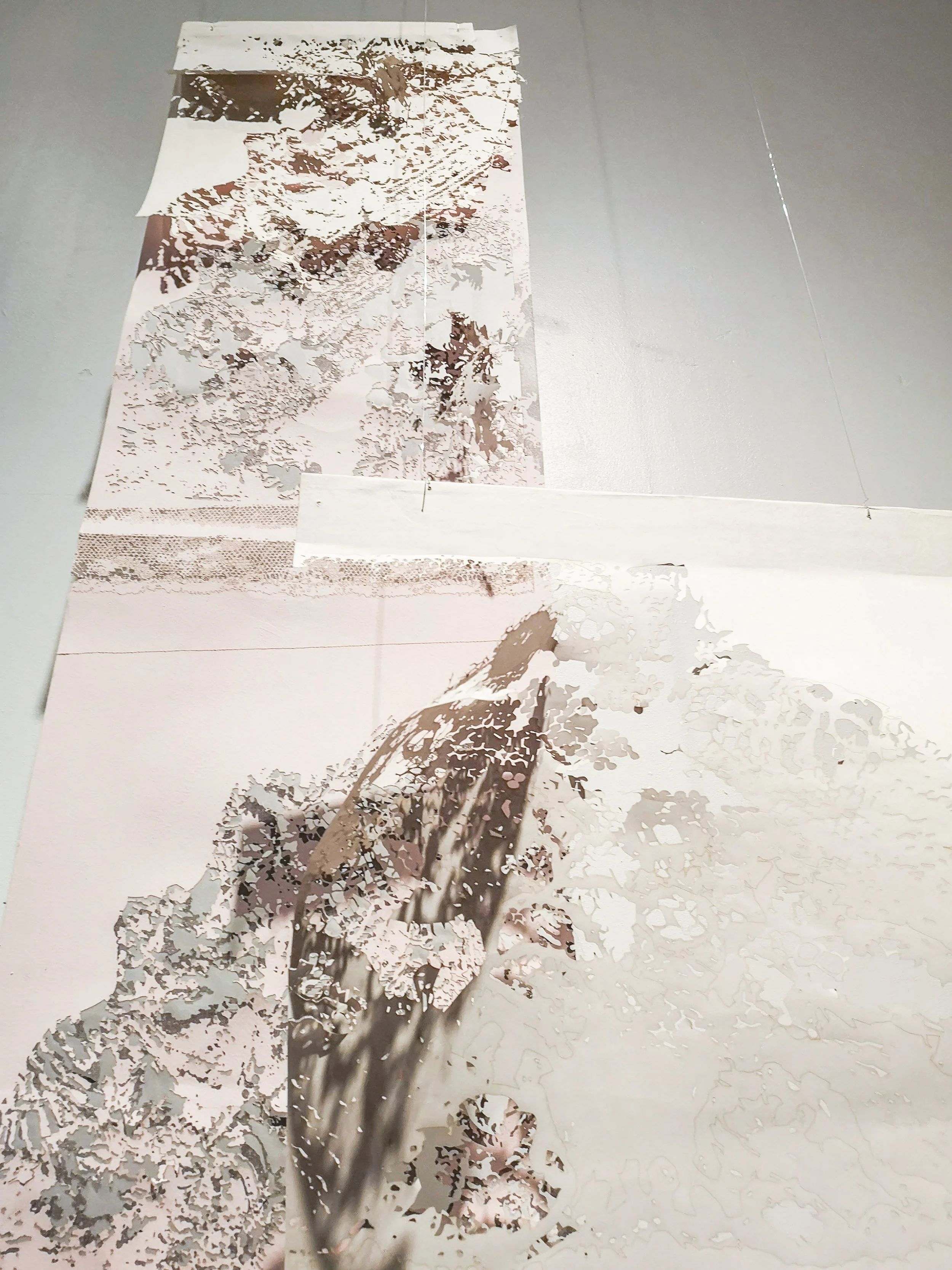 Projects_earlier works_Install3-Shadowplay2 by CBaker.jpg