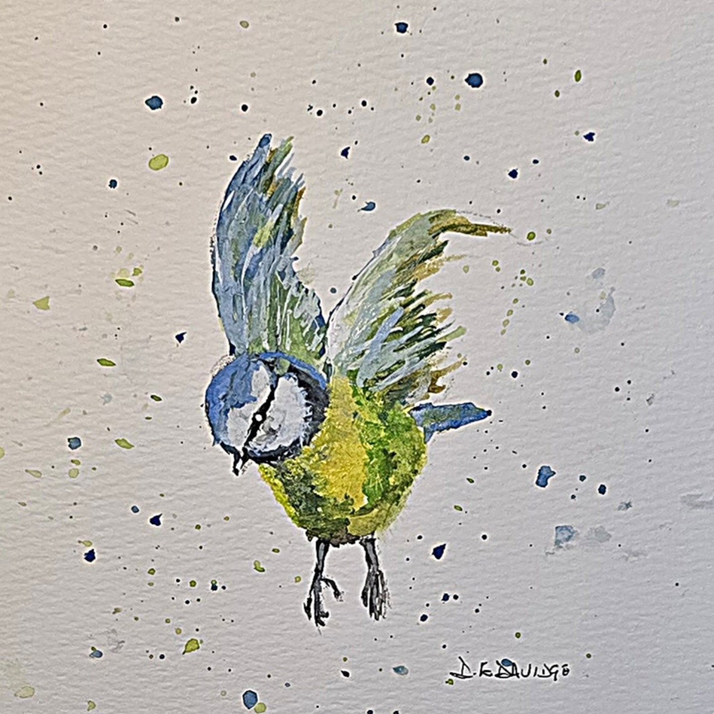 'Coming to Land'
Watercolour

Original watercolour of the beautiful and popular blue tit coming into land after his darting here and there, foraging food.

#bluetit #songbird #songbirdsurvival ##lincolnshireartist #acrobatic