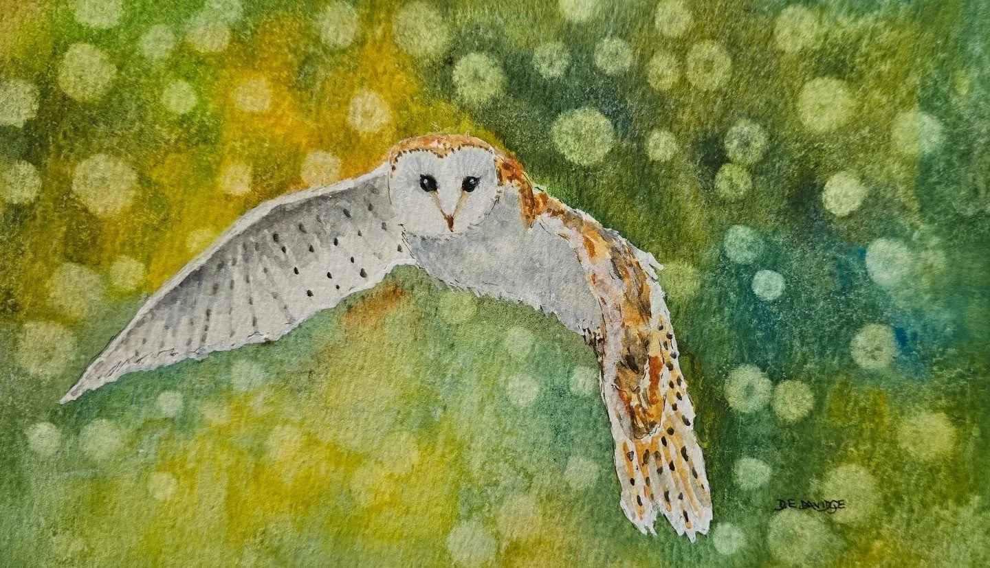 'The perfect capture'
Watercolour with both salt and Bokeh effects

An original watercolour depicting that perfect moment where Richard Howieson captured an inspirational shot for his photograph of the beautiful owl coming out of a darkened area.

Th