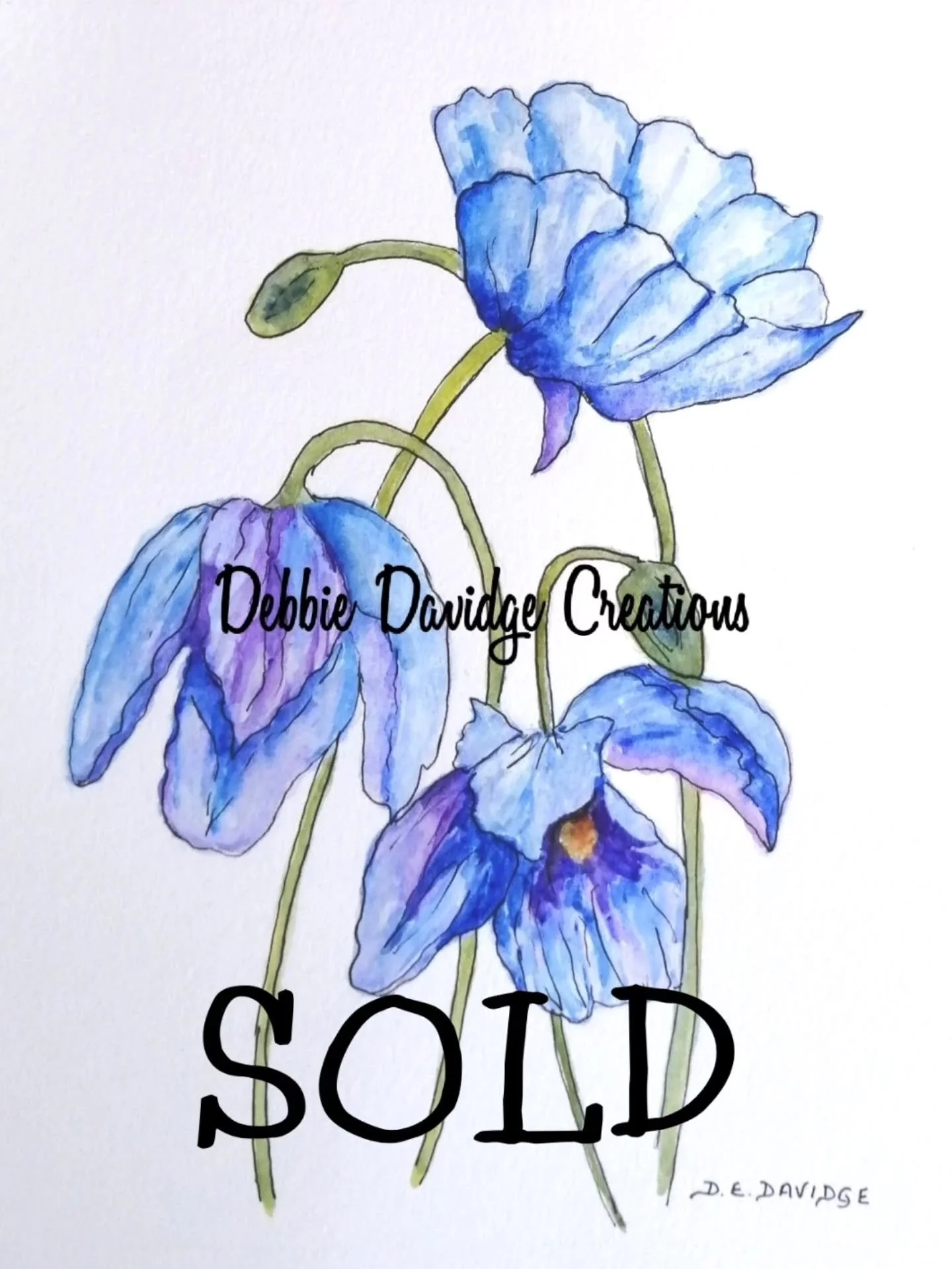 Had a super time at the Collingham and District Gardening Association today.

It just had to be floral paintings and the odd bird paintings I took with me.

Thank you for inviting me and thank you to those who purchased original artworks and many of 