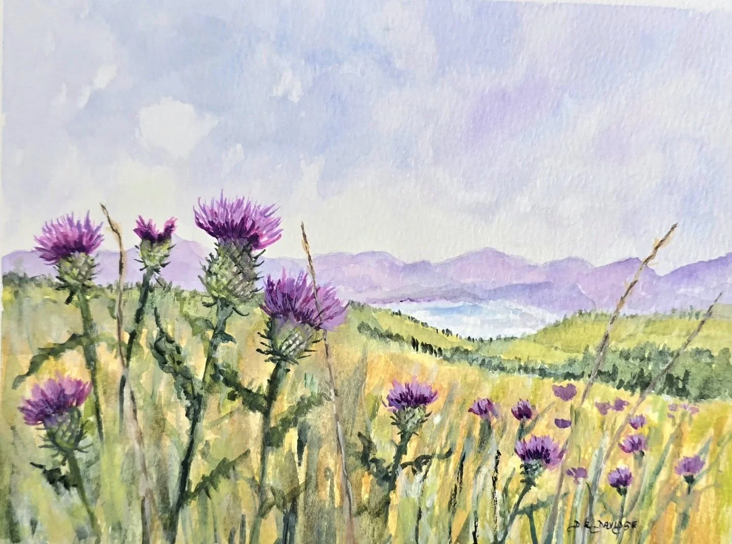 'Sentinels of the Hills'
Watercolour

An original watercolour painting of Scottish thistles overlooking the hills and the local Loch.
Inspired by two different families who are moving to Scotland in the next few weeks.

Wishing you @melanie.luff65 an