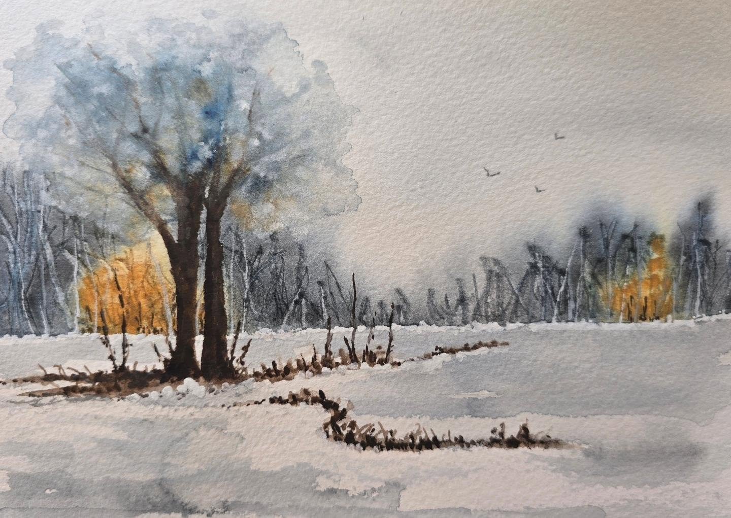 'Winter's Quiet Light'

An original watercolour depicting a quiet and gentle landscape on a crisp winter's day.

#winterwonderland #winter #quietness #lincolnshireartist #artforsalebyartists
