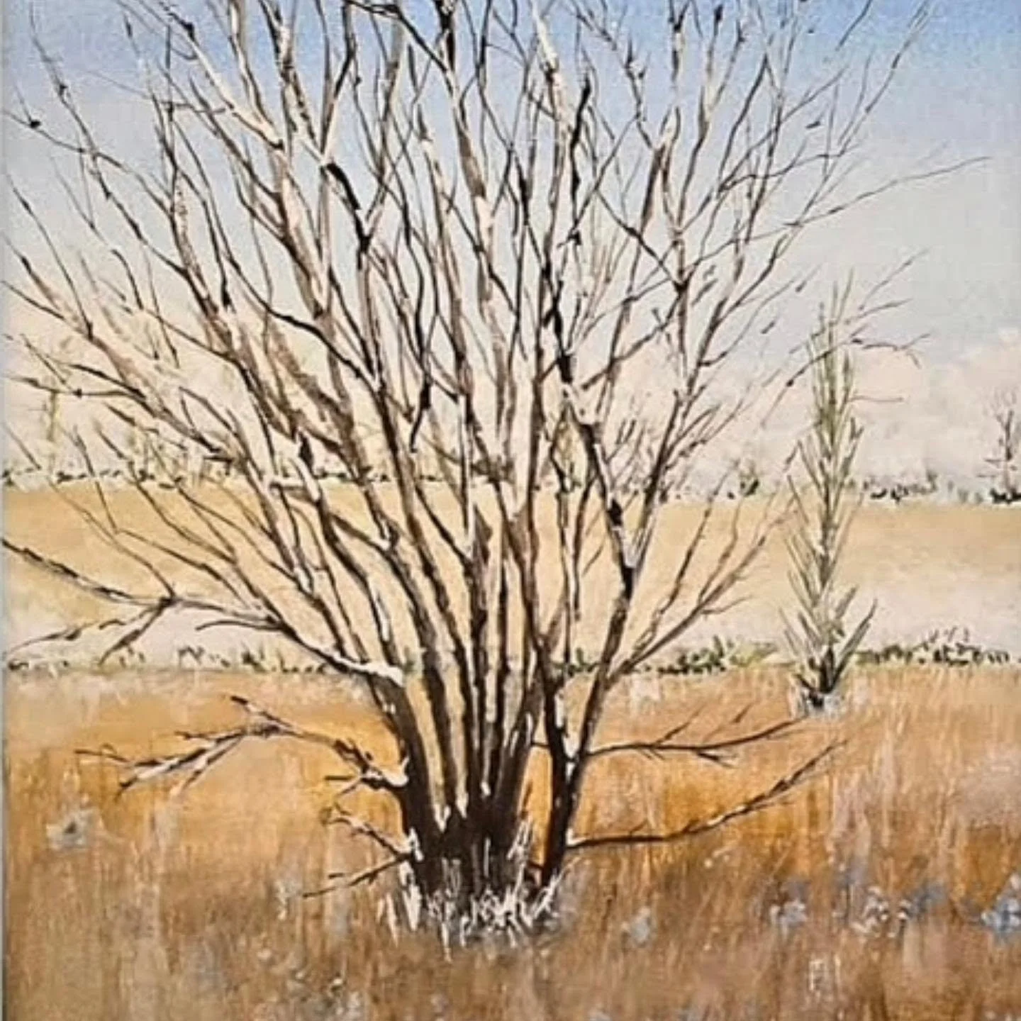 'Silent Meadow Watcher'
Watercolour

One of my paintings, along with a few others of mine, that will be at @the.rickyardgallery organised by @creativelincsco_op for the 'Connecting Through Art' exhibition.

A collection of original artworks bringing 