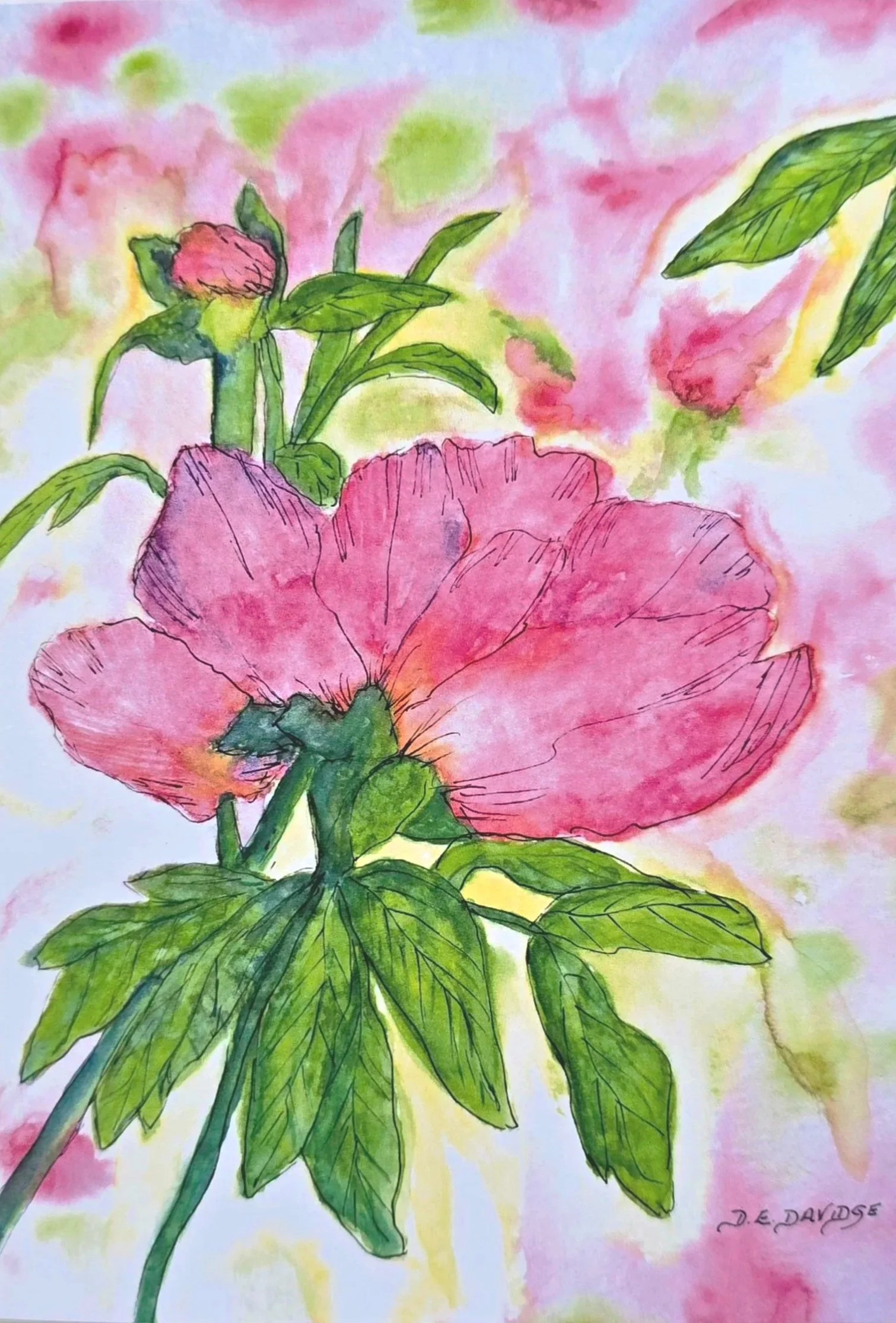 Peony