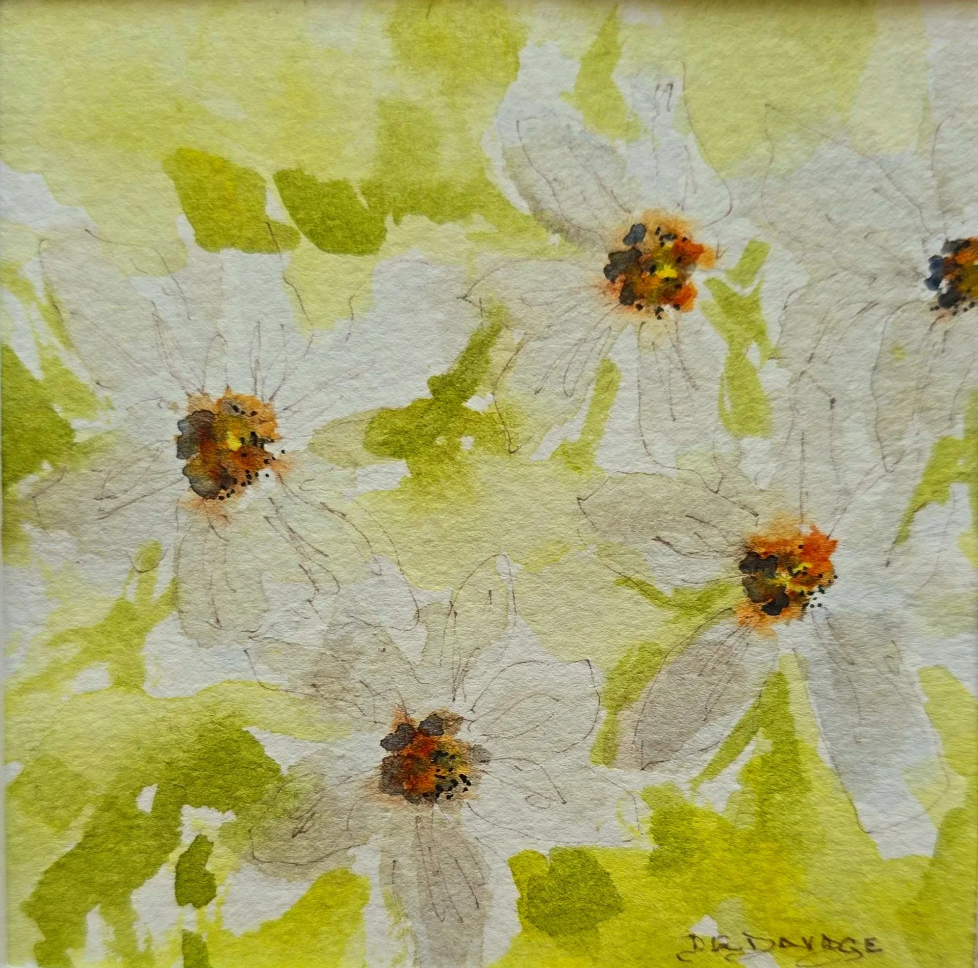 White Blossoms Watercolor Painting