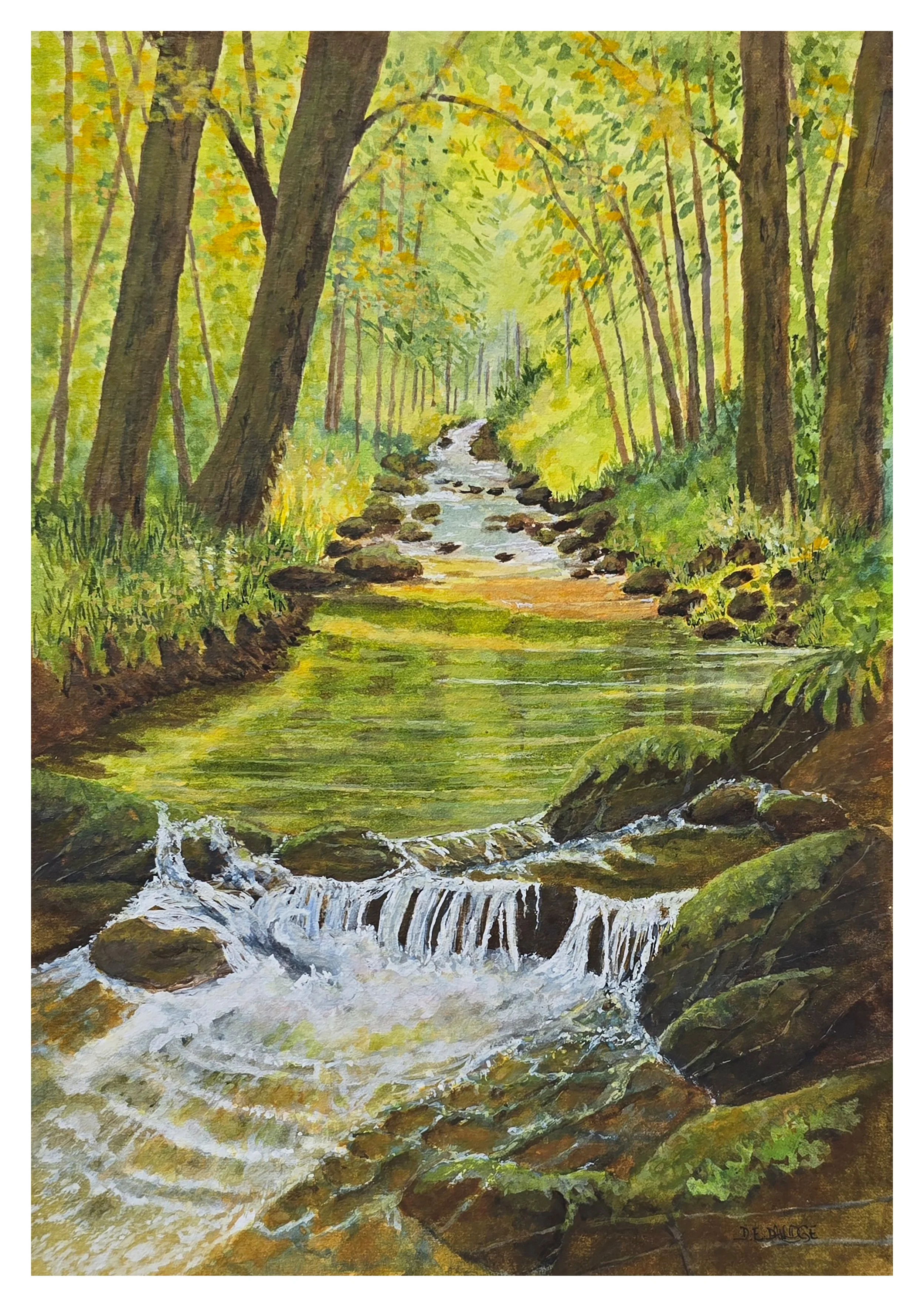 Woodland Stream A3.jpg