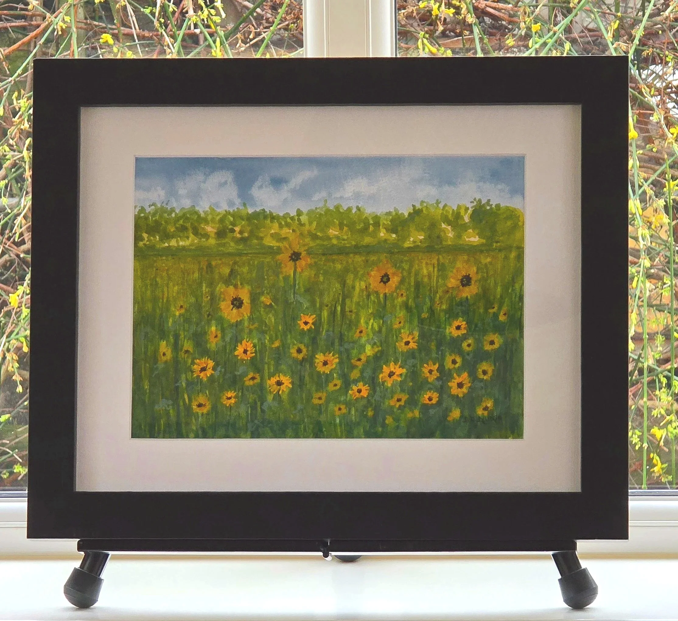 Sunflowers in the Field