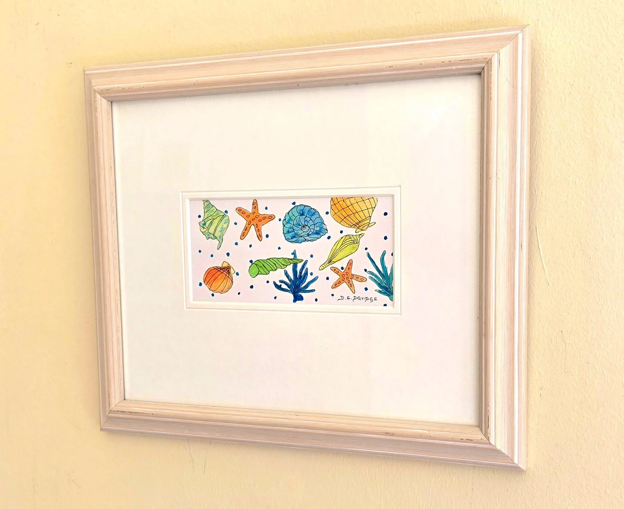 Seashells and Starfish Galore