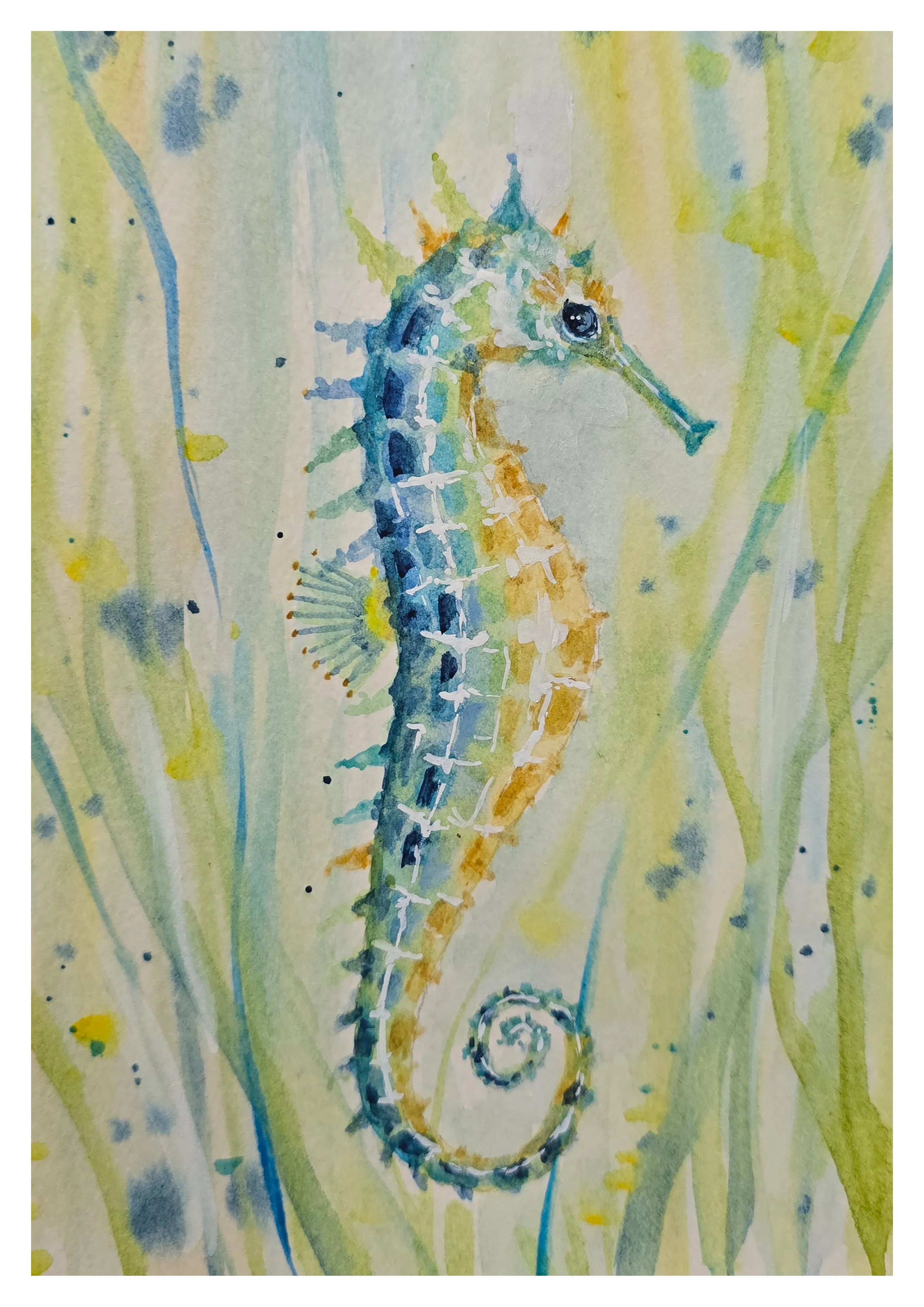 Seahorse Dreams