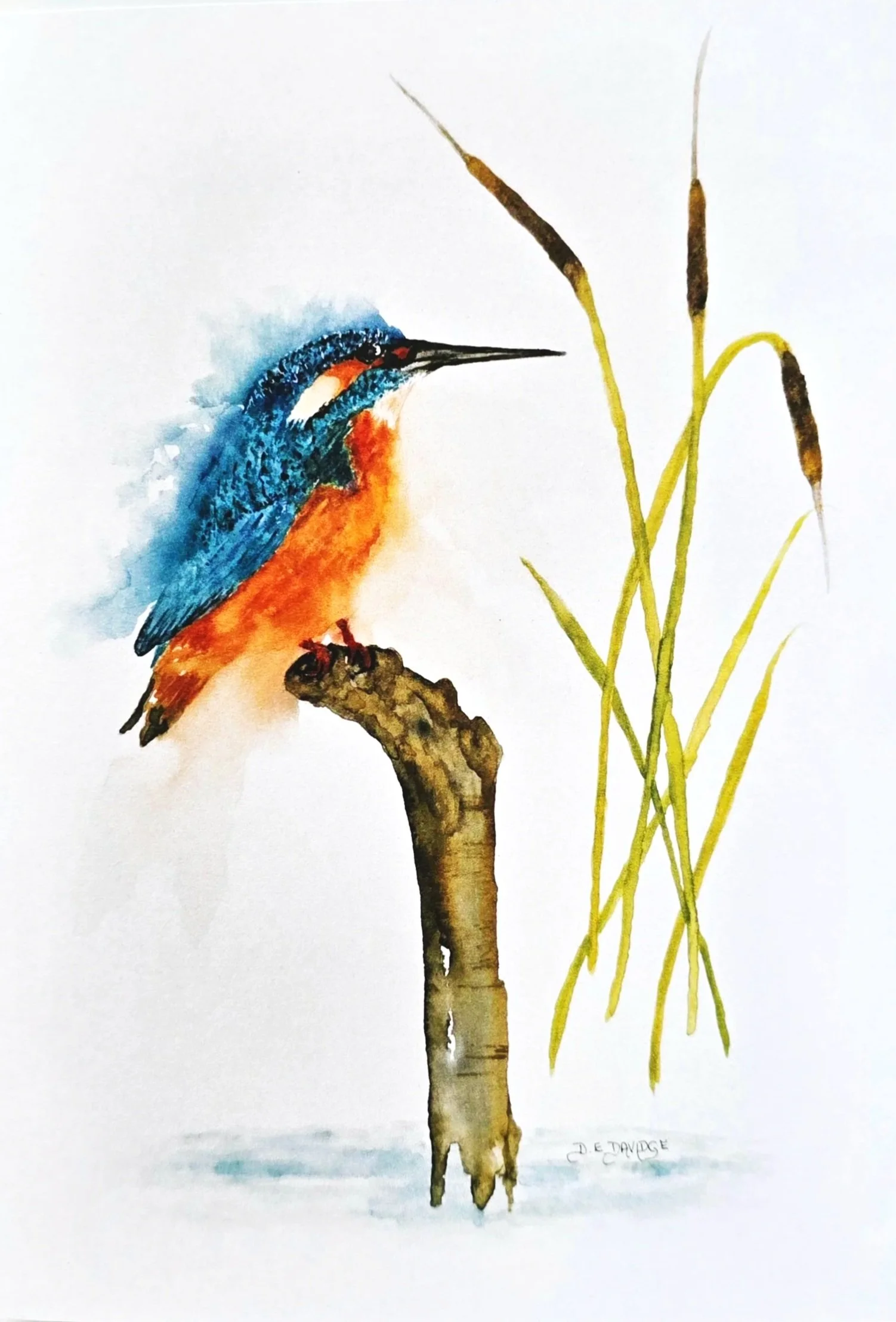 The Waiting Kingfisher