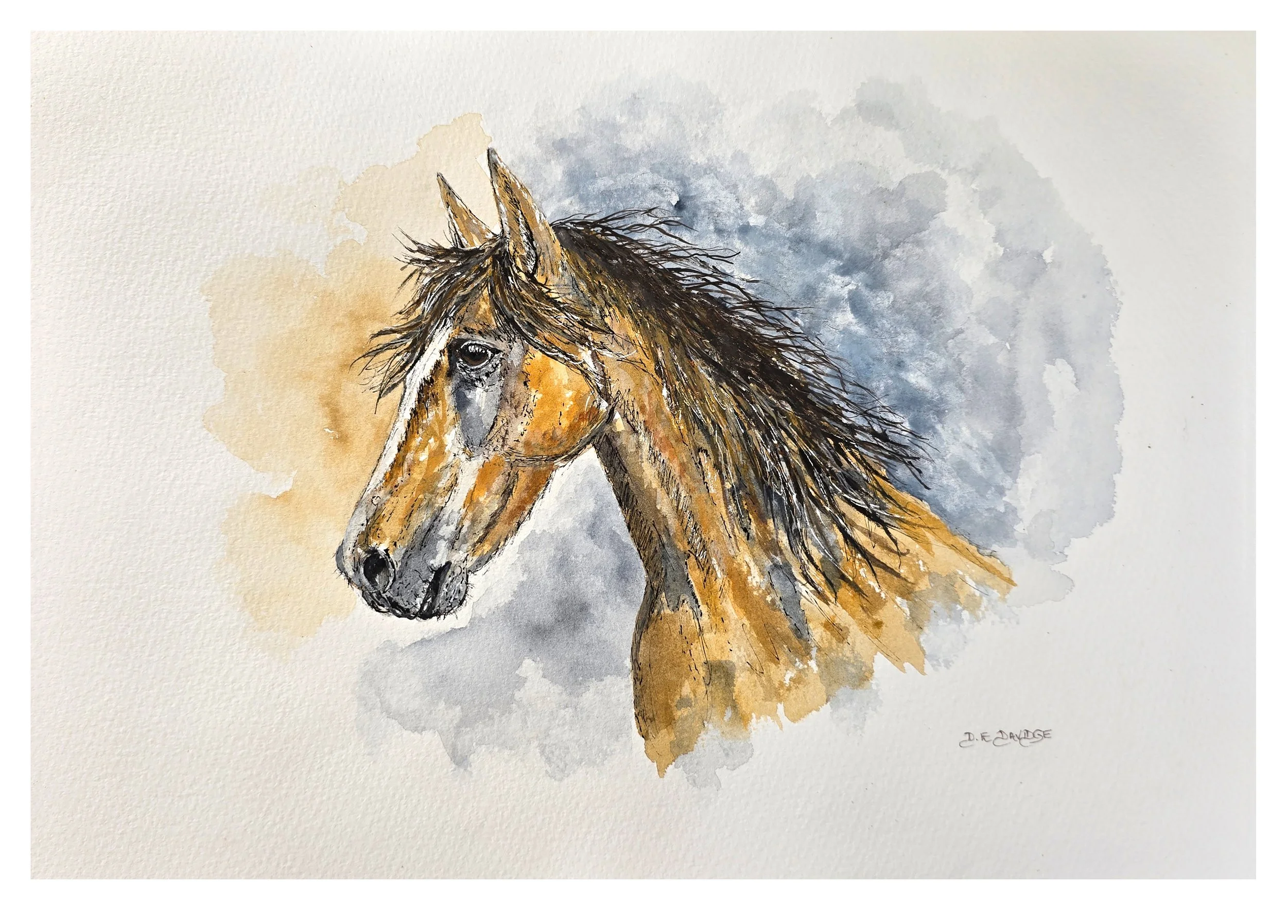 Wild Horse.jpg