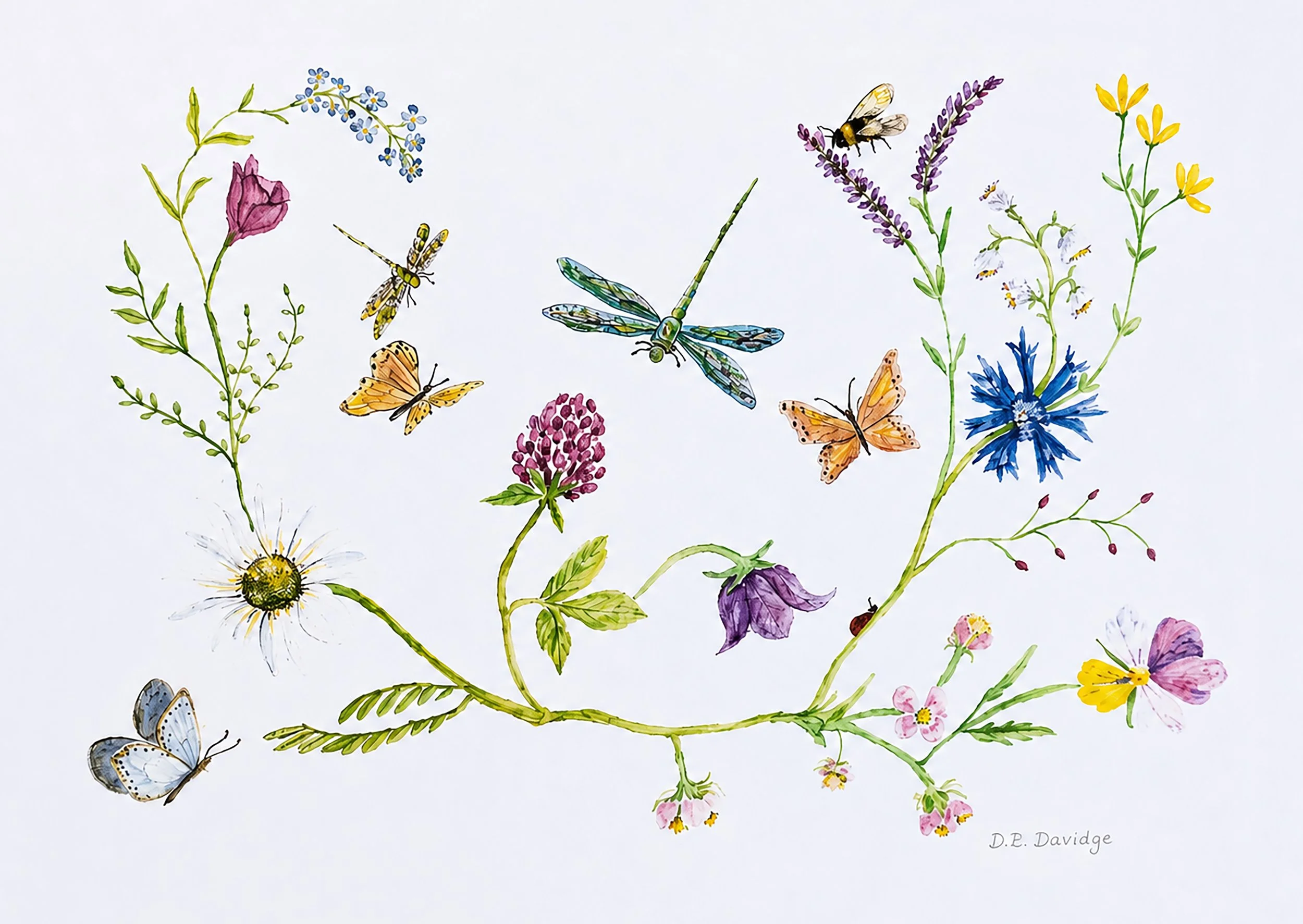 Back to Nature A4 Print.jpg
