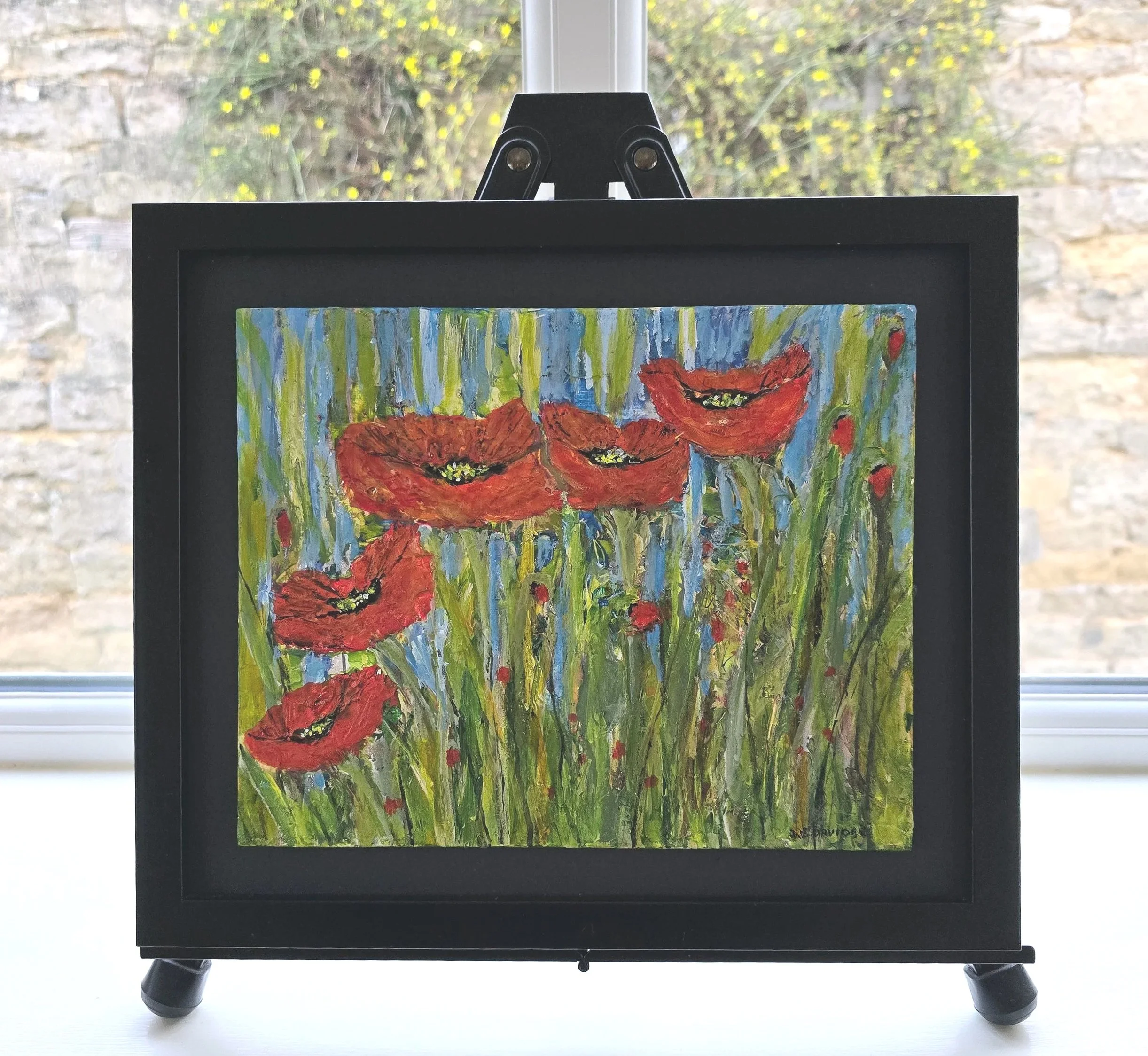 Poppies in Abundance