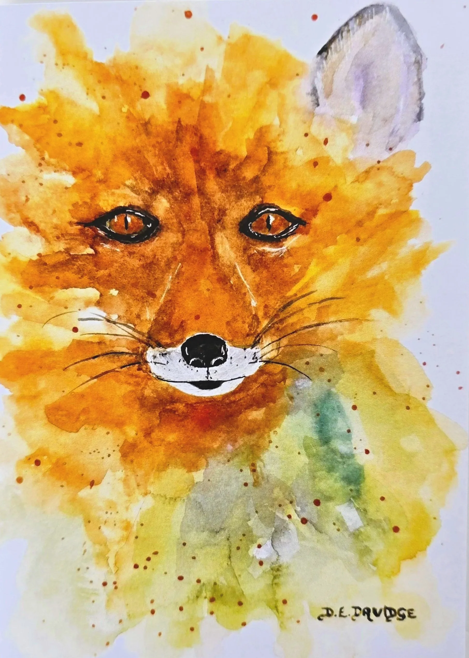 Mr Fox