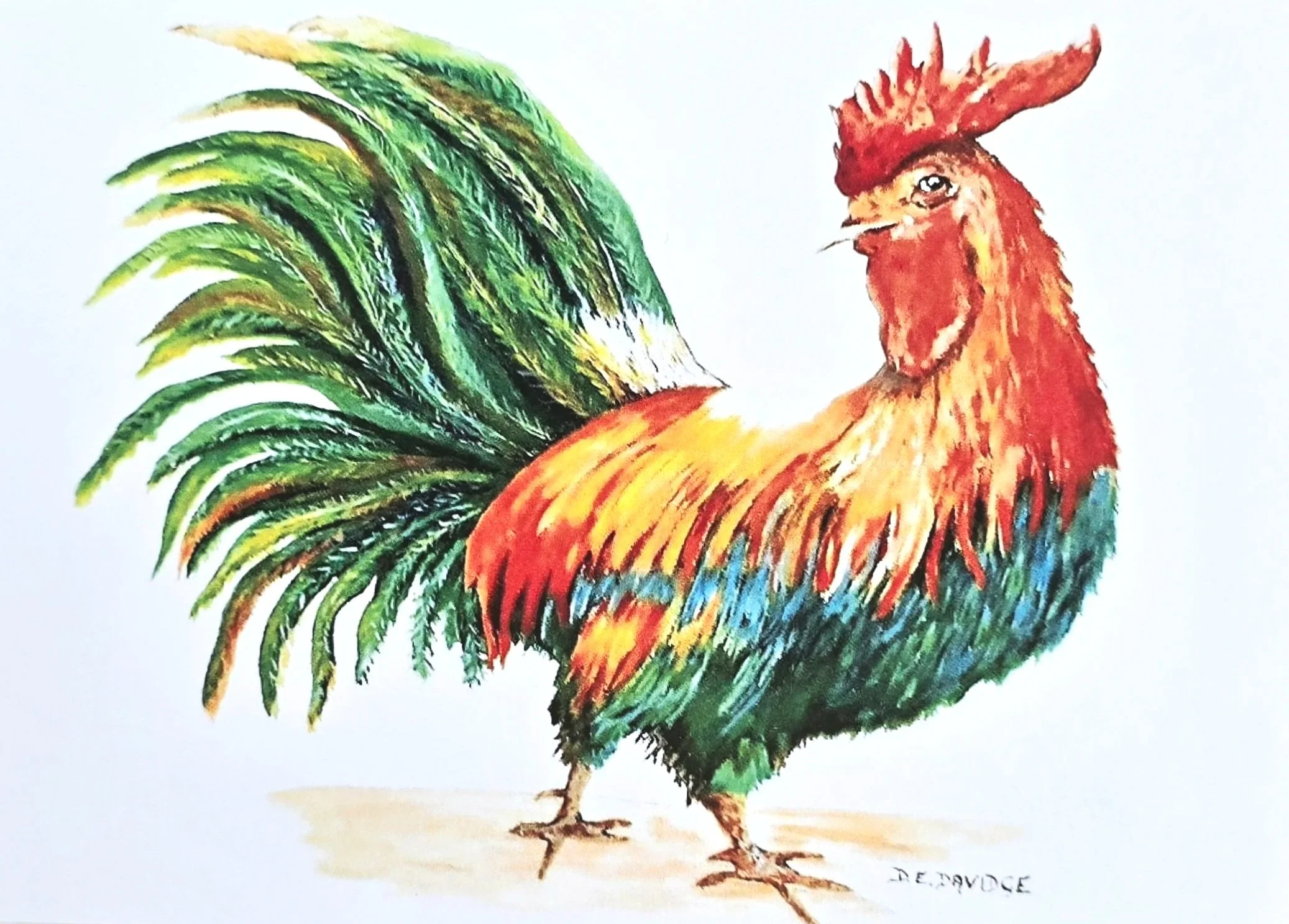 Cyril the Cockerel