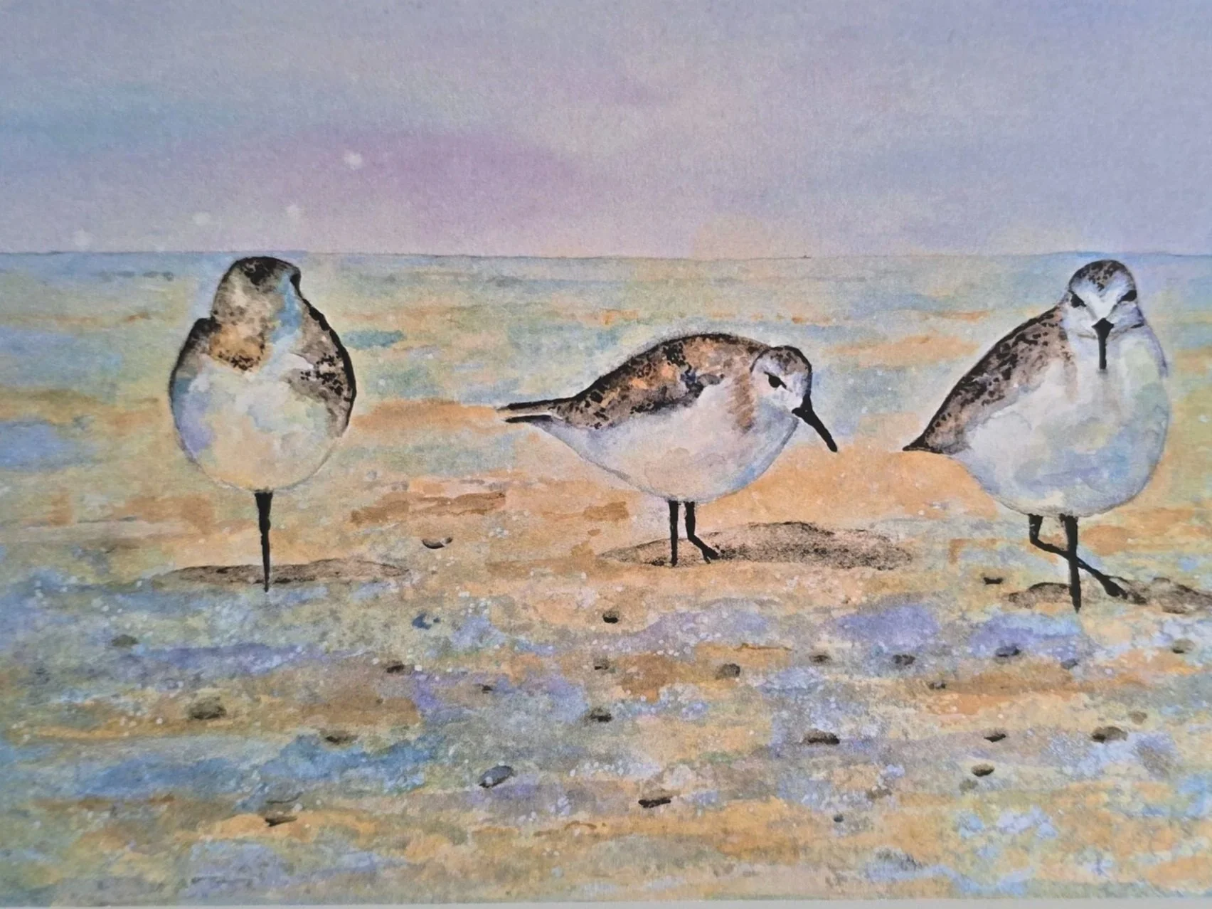 Fling of Dunlins
