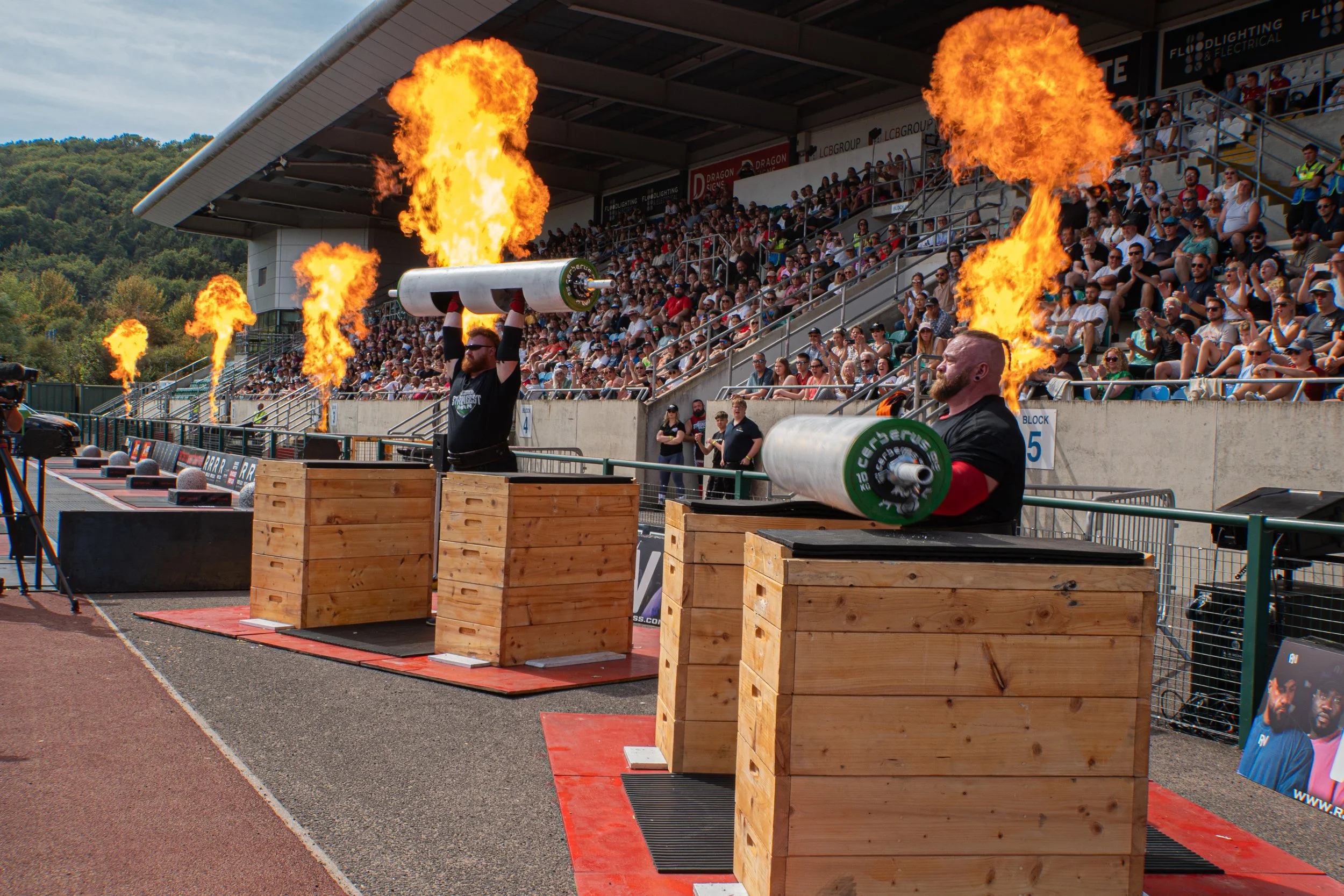 WSM-10.jpg